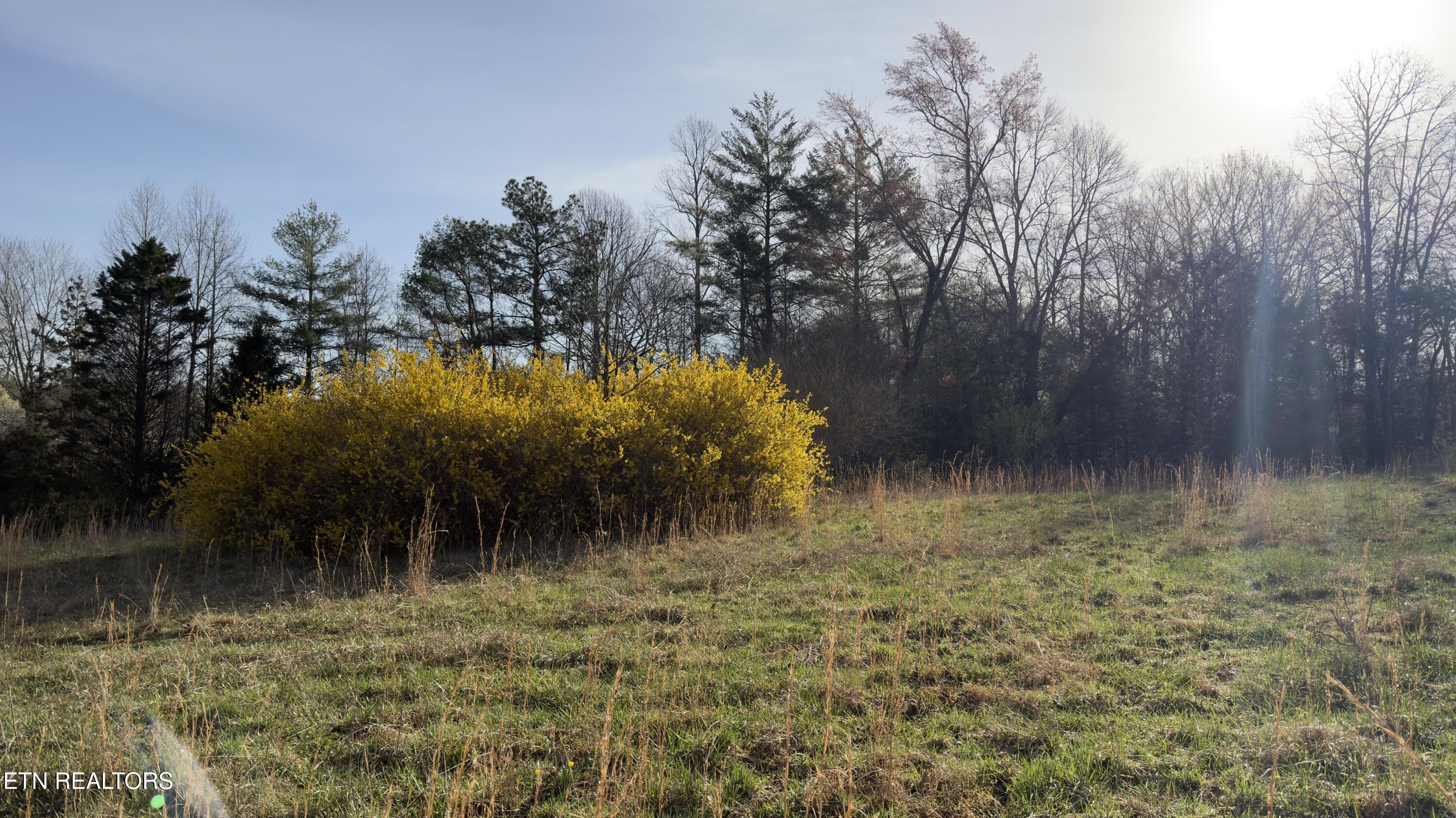 577 Blizzard Mines Road Harriman TN 37748