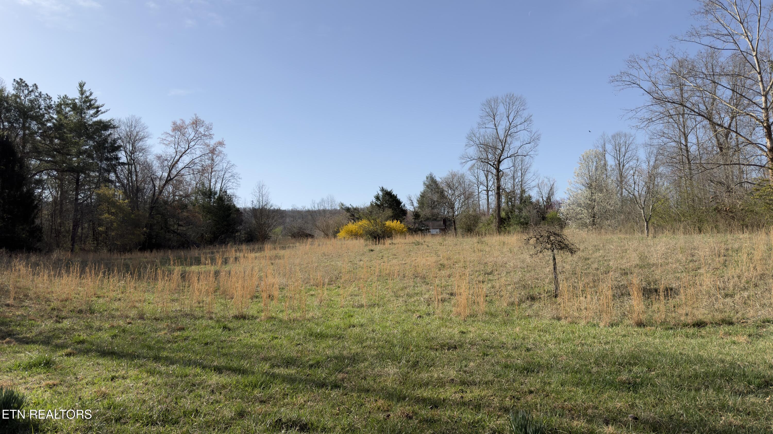 577 Blizzard Mines Road Harriman TN 37748