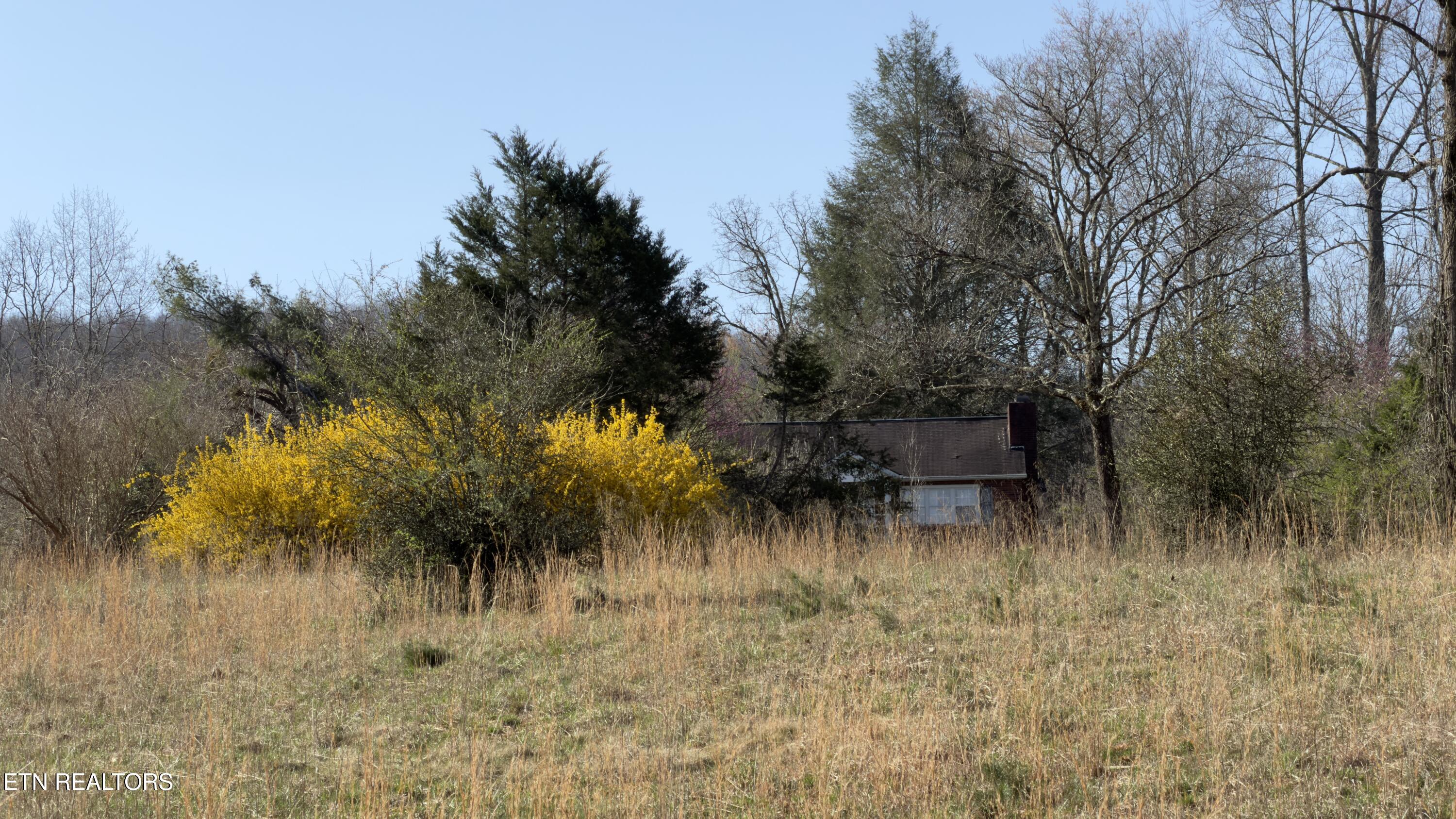 577 Blizzard Mines Road Harriman TN 37748