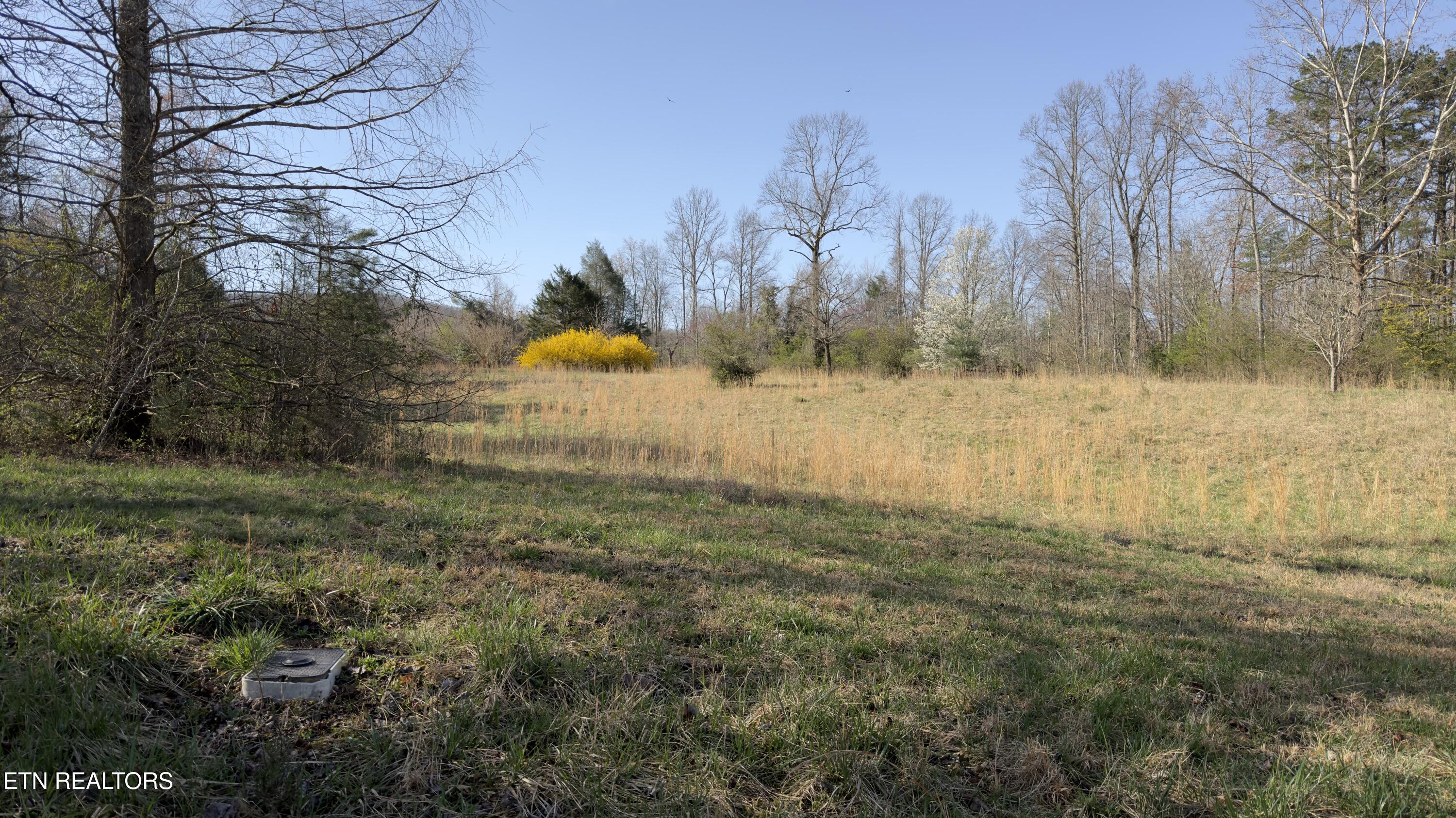 577 Blizzard Mines Road Harriman TN 37748