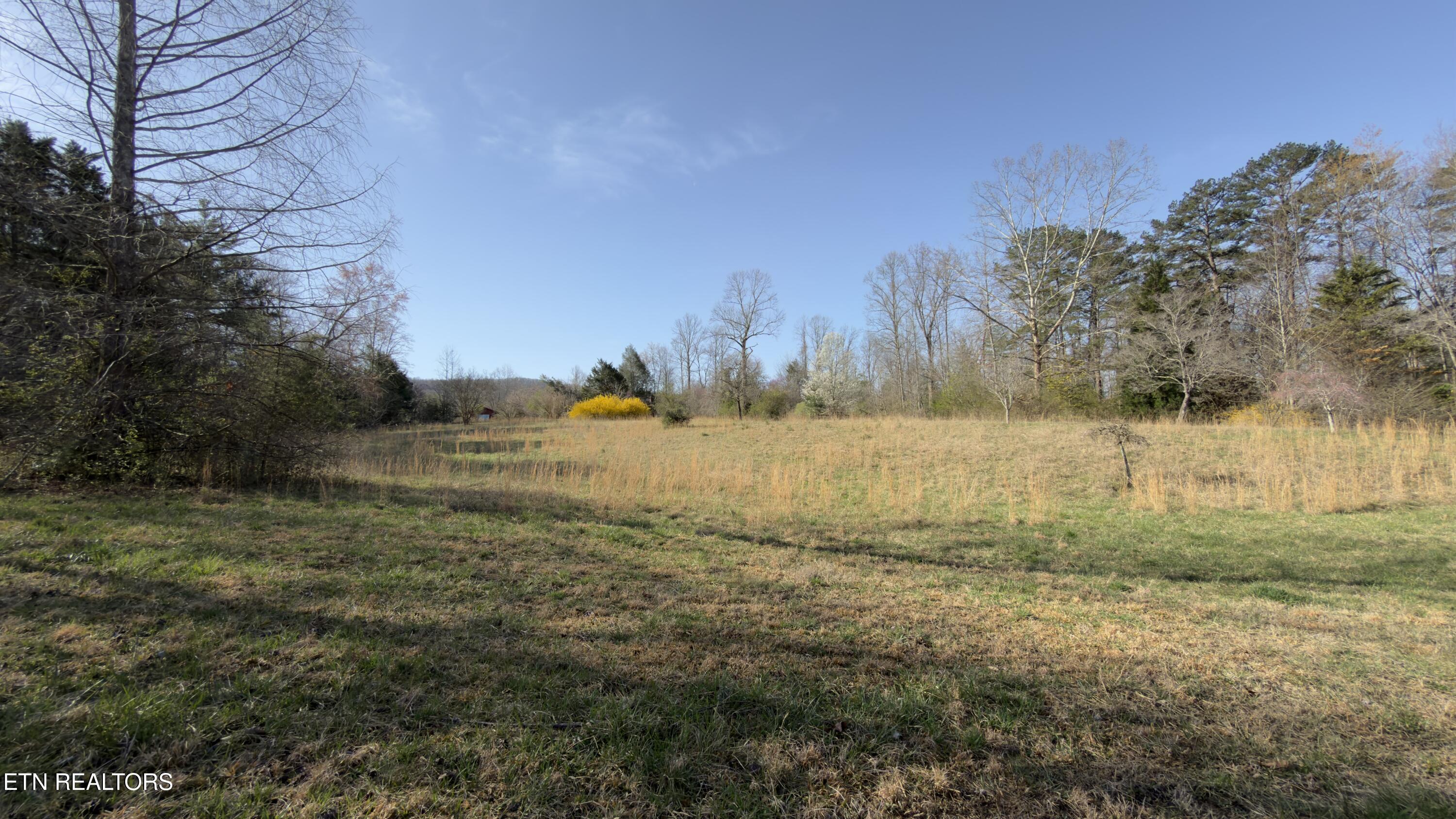 577 Blizzard Mines Road Harriman TN 37748