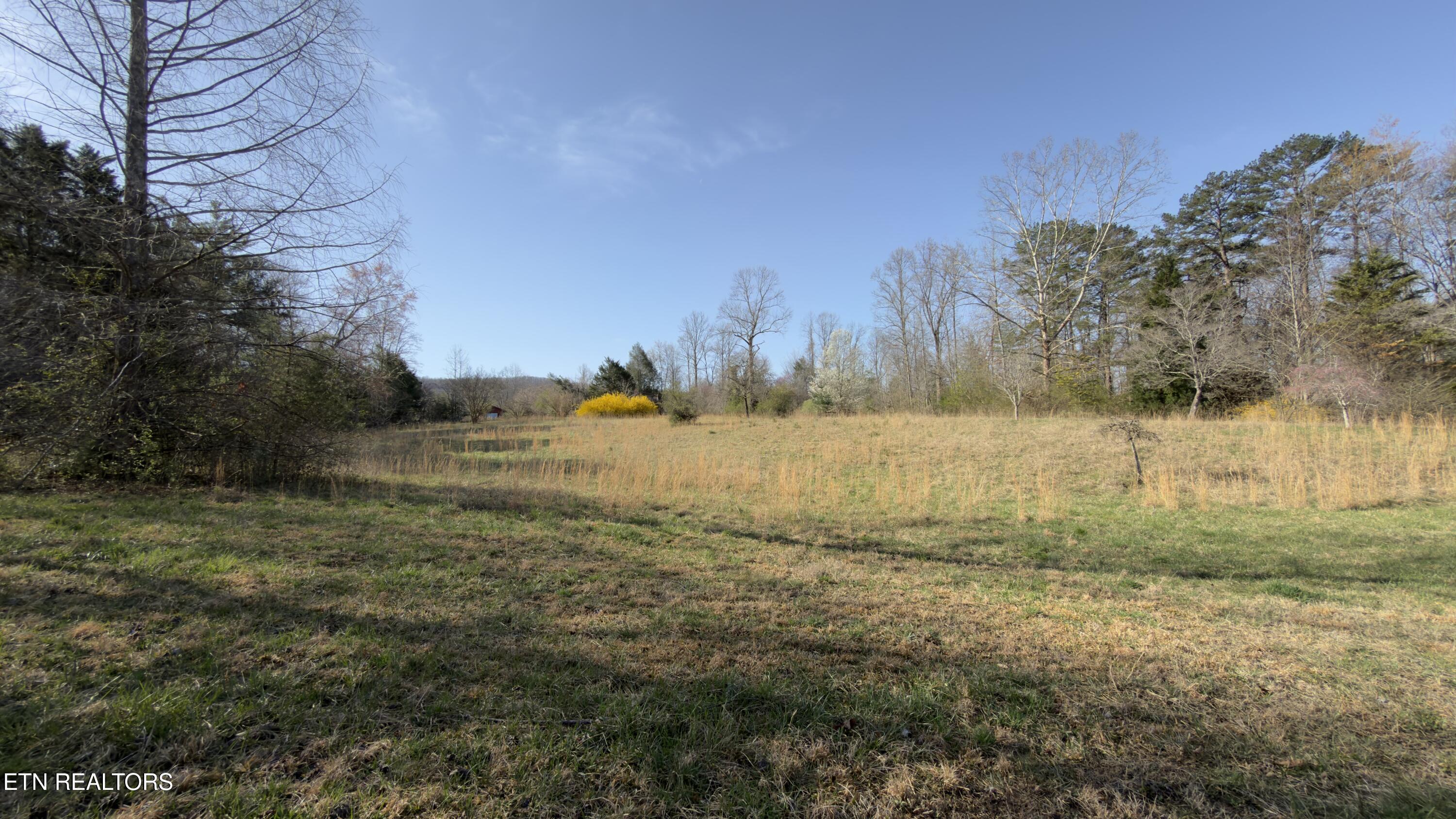 577 Blizzard Mines Road Harriman TN 37748