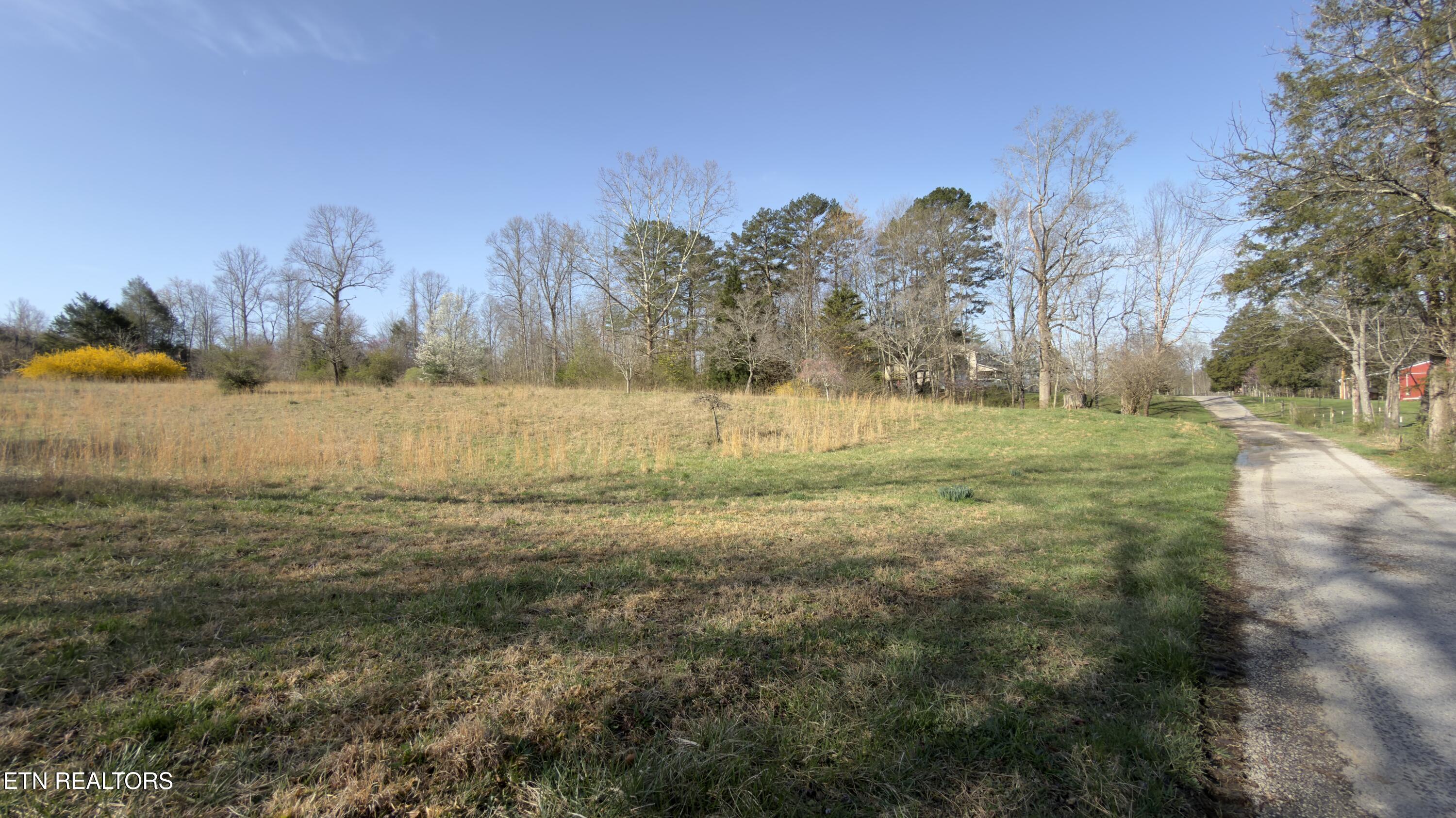 577 Blizzard Mines Road Harriman TN 37748