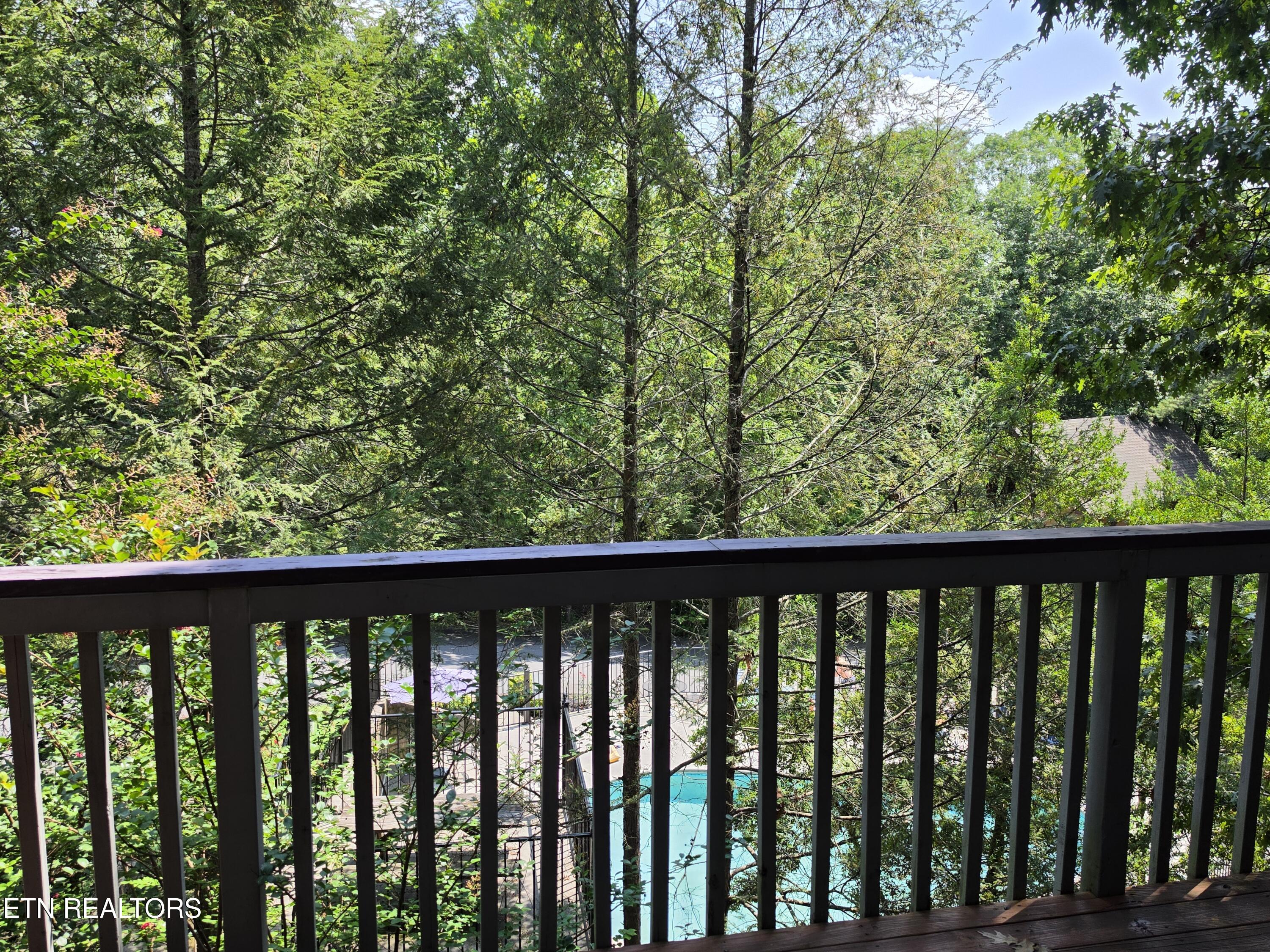 310 Greenwood Way Pigeon Forge TN 37863