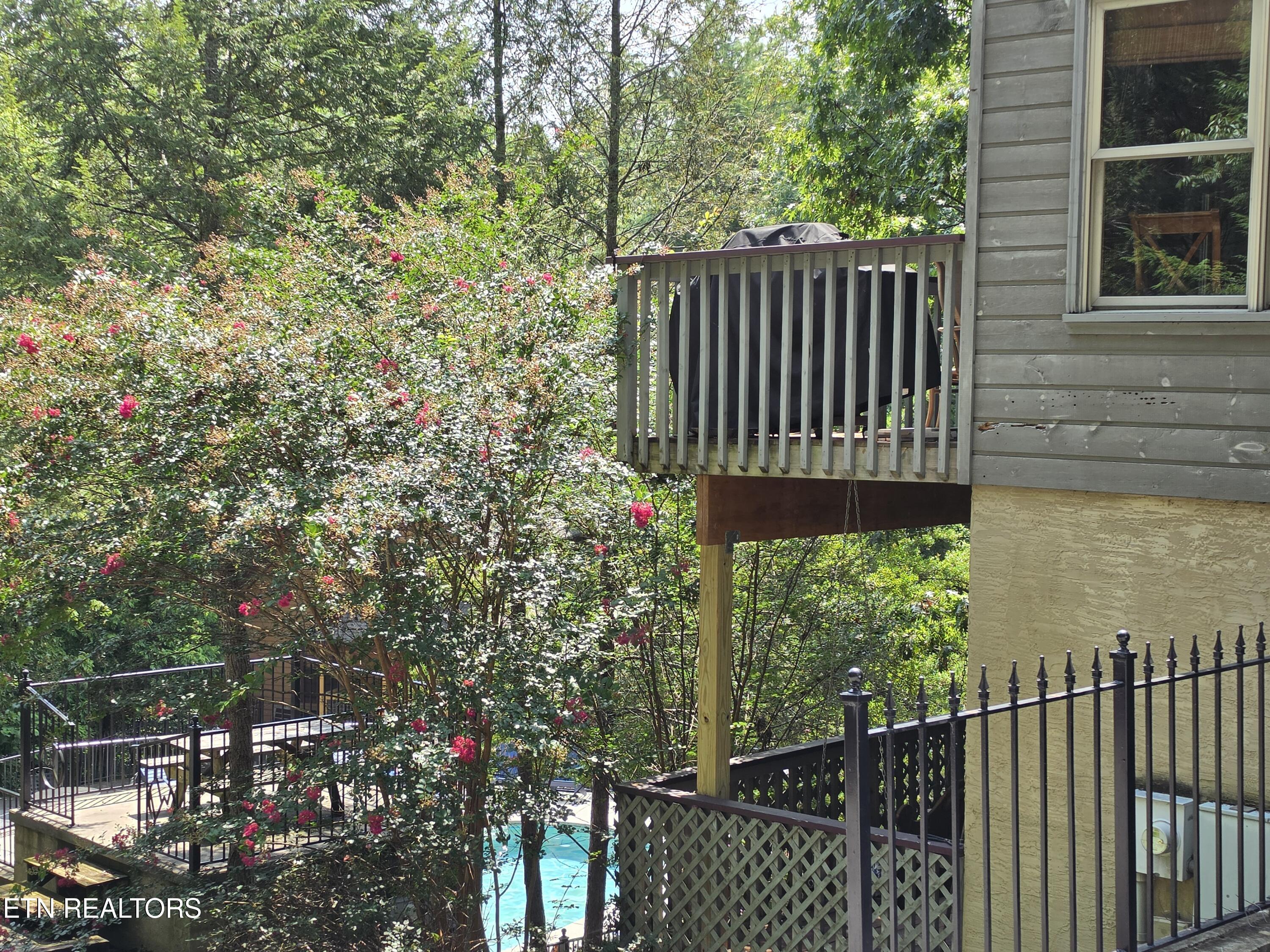 310 Greenwood Way Pigeon Forge TN 37863