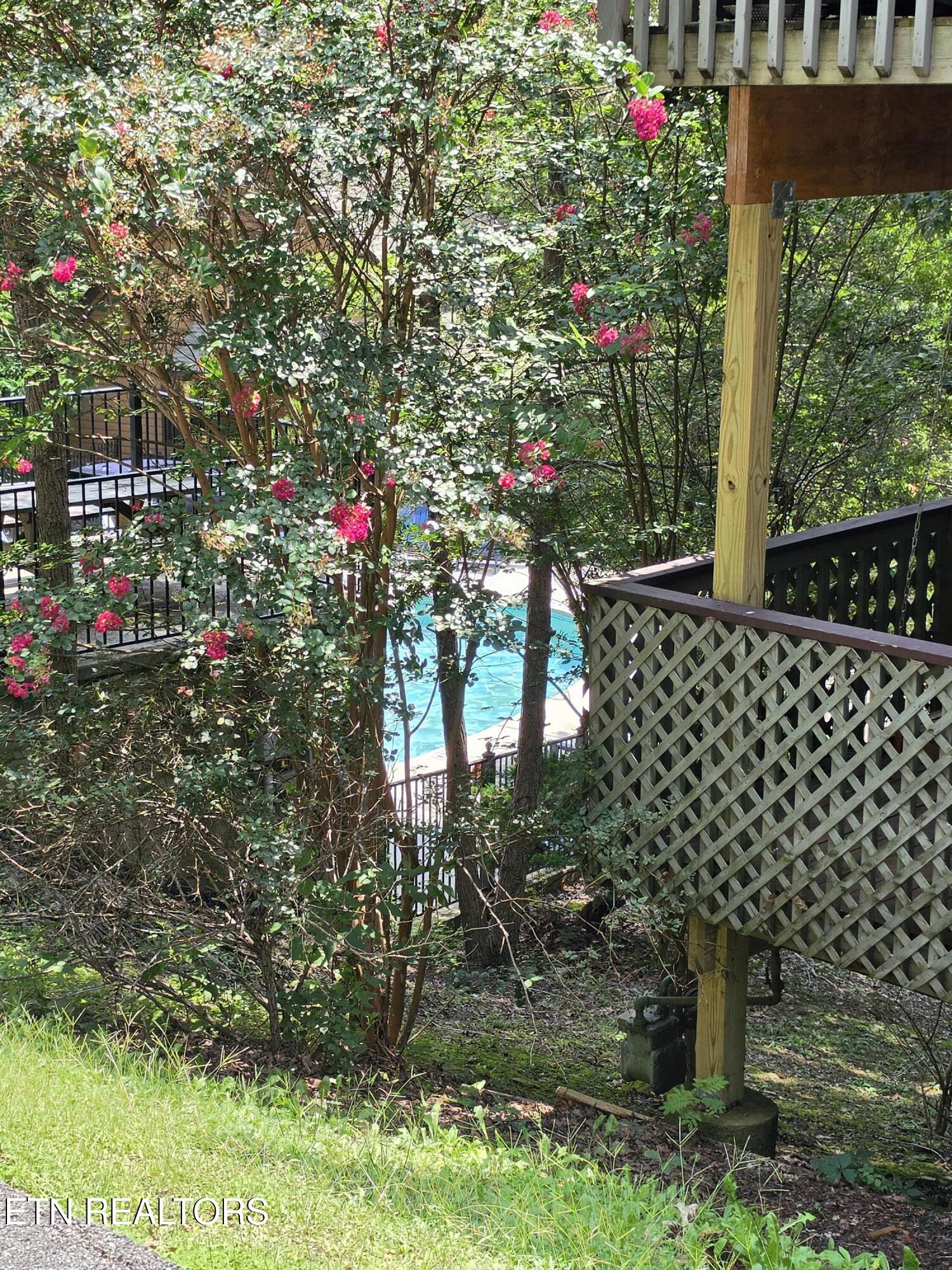 310 Greenwood Way Pigeon Forge TN 37863
