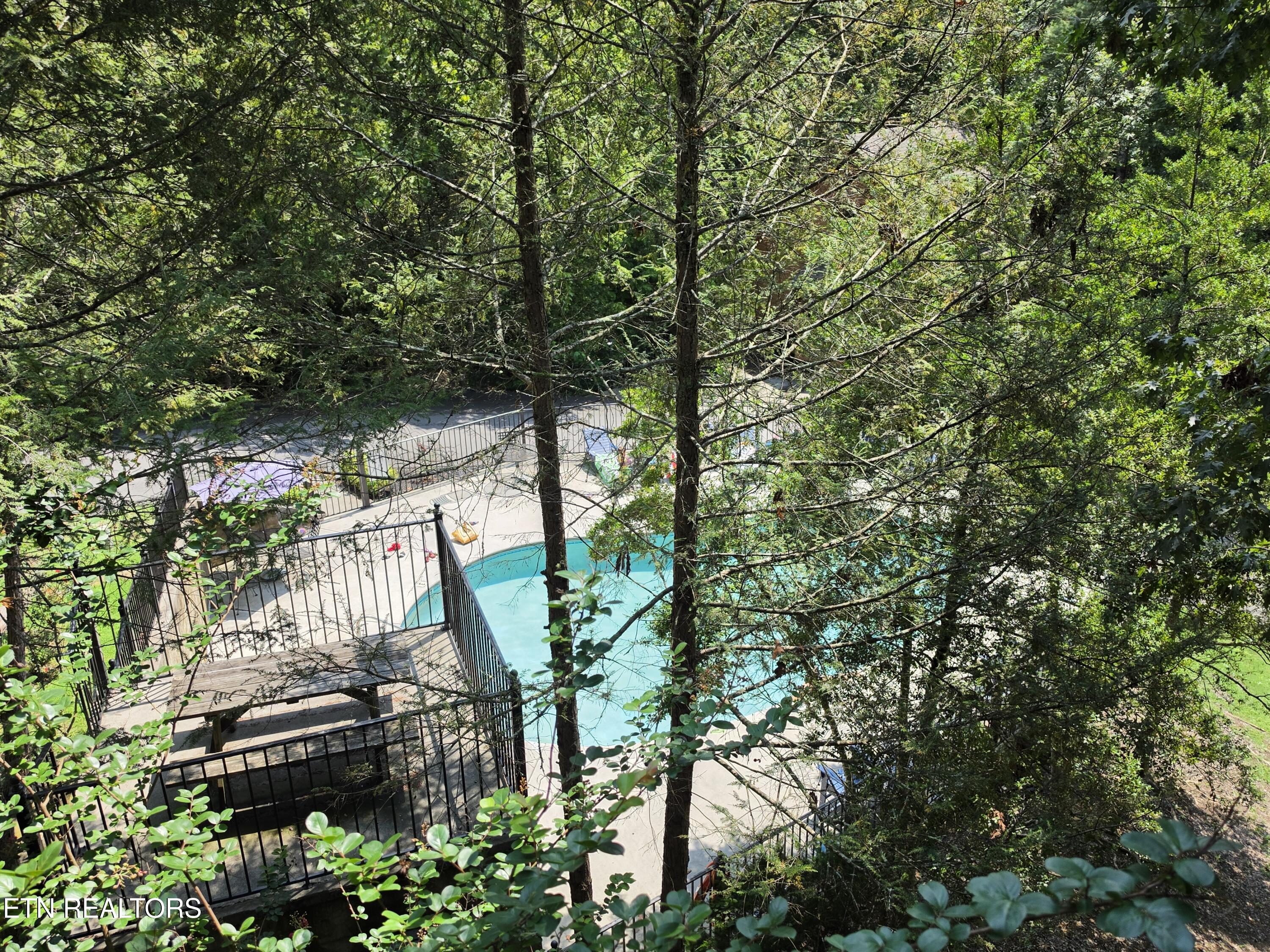 310 Greenwood Way Pigeon Forge TN 37863