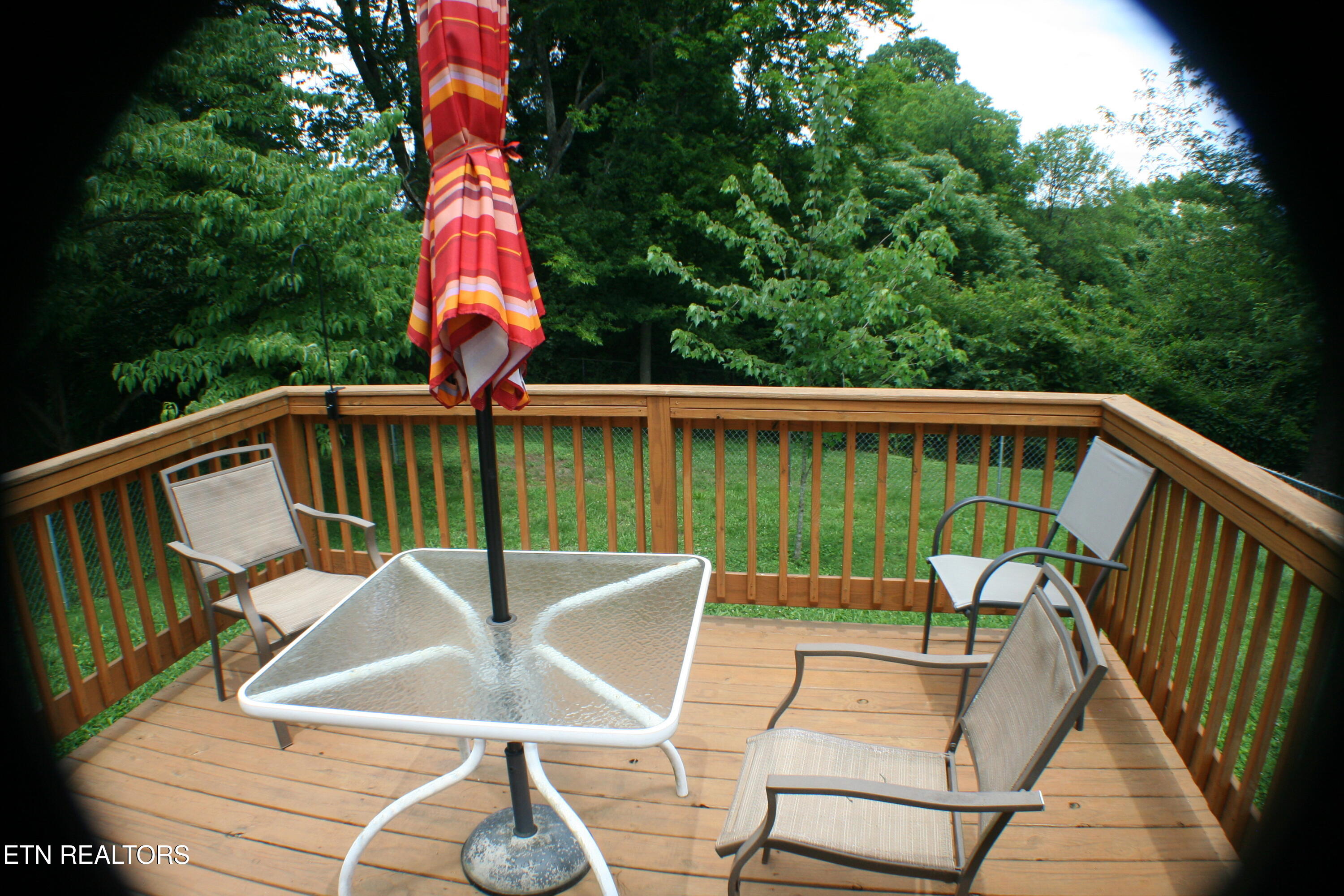 310 Cardinal Street Maryville TN 37803