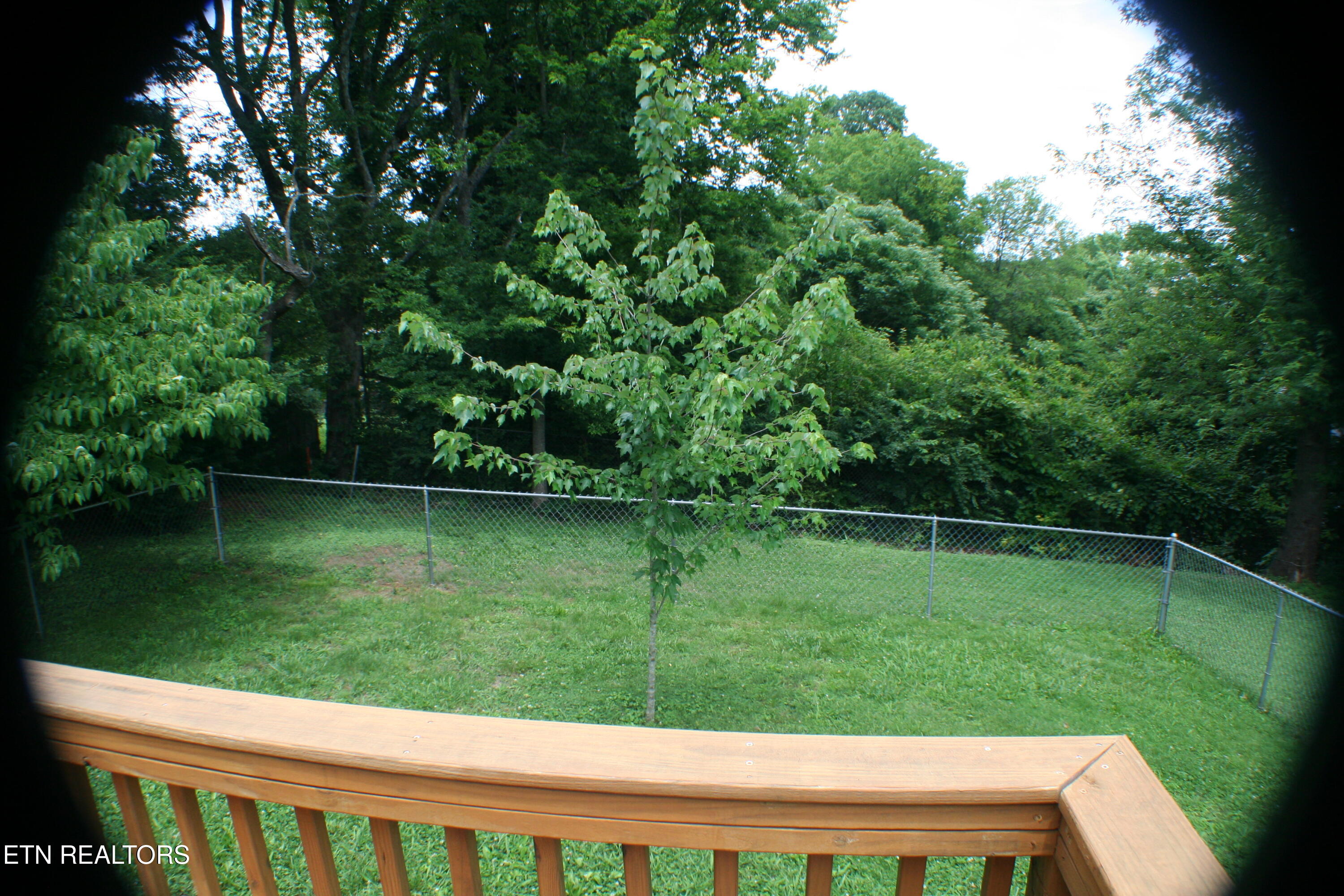 310 Cardinal Street Maryville TN 37803