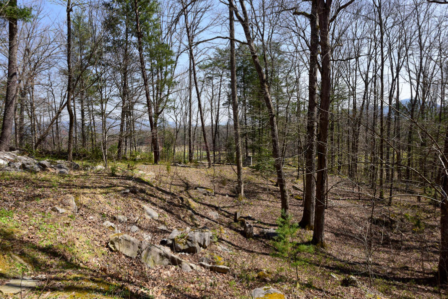 114 Fairway Circle Townsend TN 37882