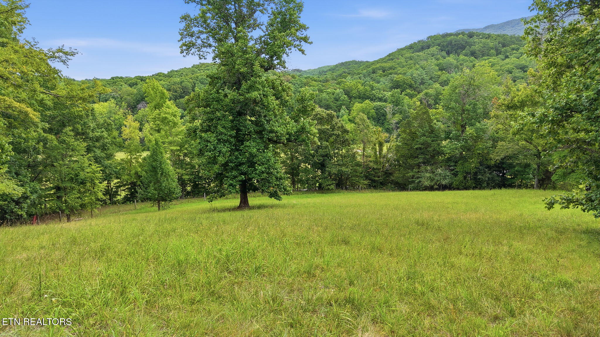 242 Deer Run Drive Maryville TN 37803