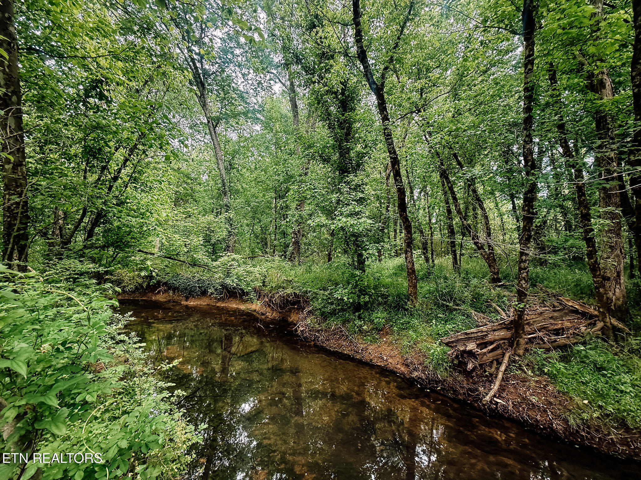 1597 Goodfield Road Decatur TN 37322