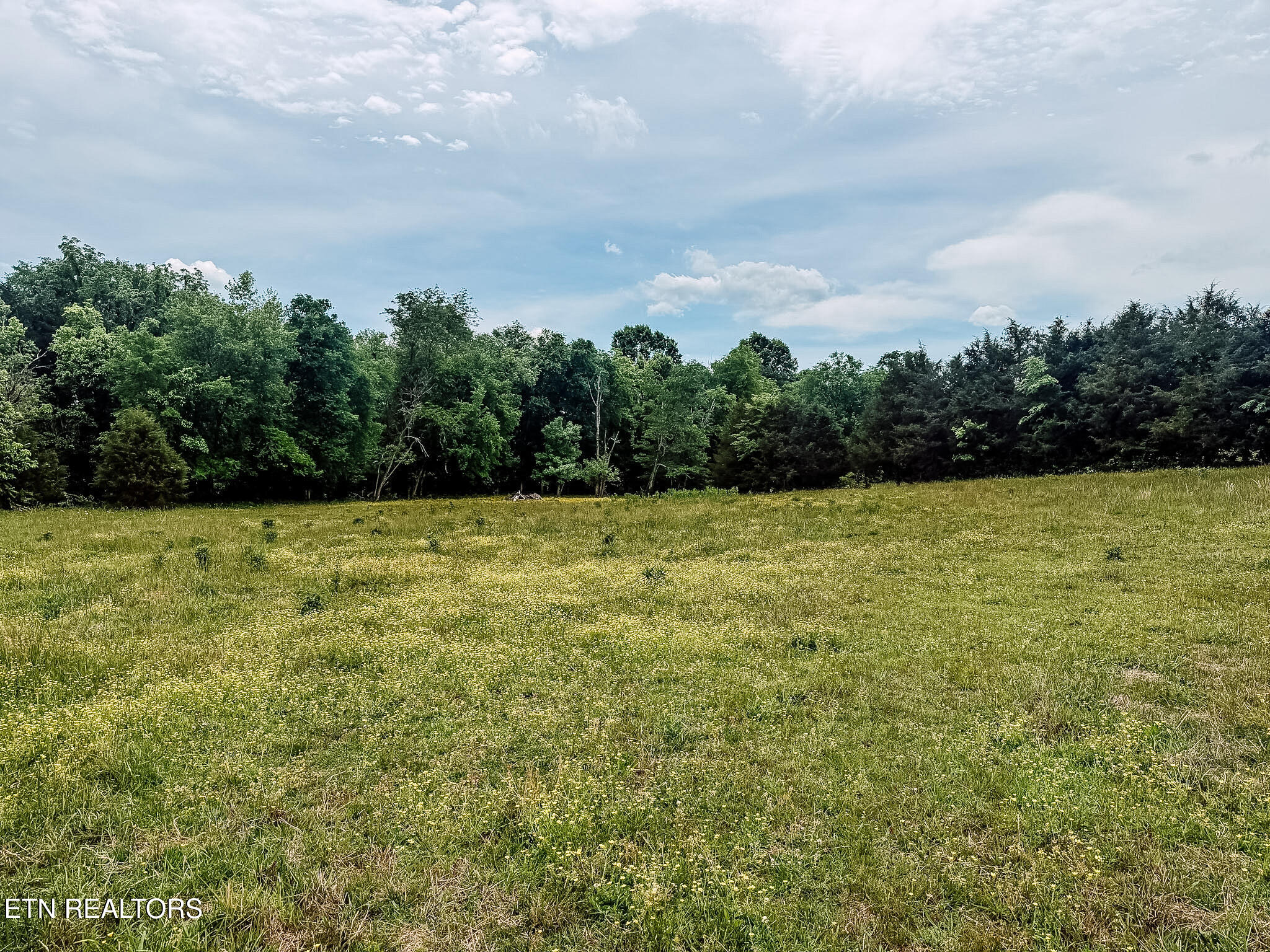 1597 Goodfield Road Decatur TN 37322