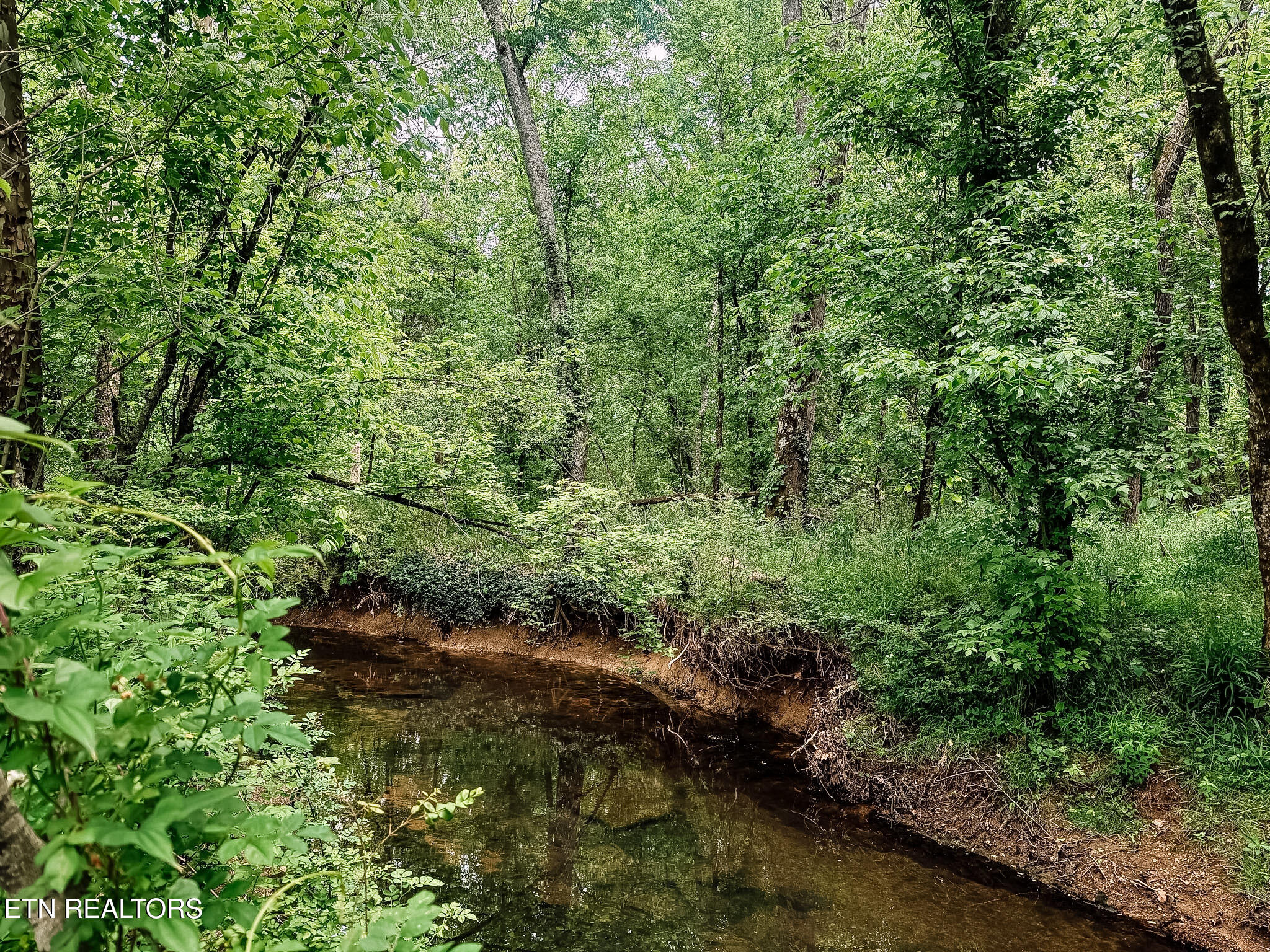 1597 Goodfield Road Decatur TN 37322