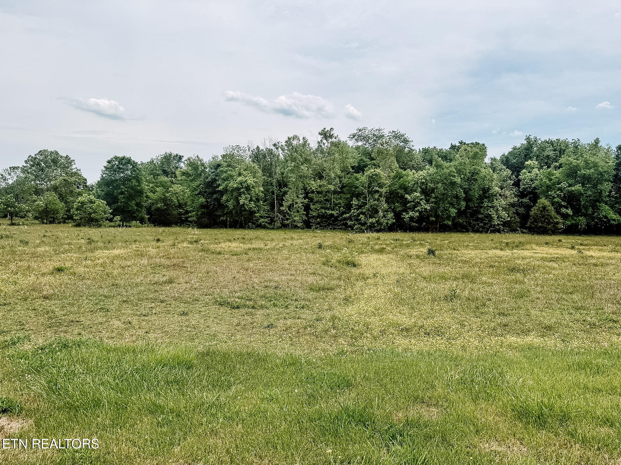 1597 Goodfield Road Decatur TN 37322