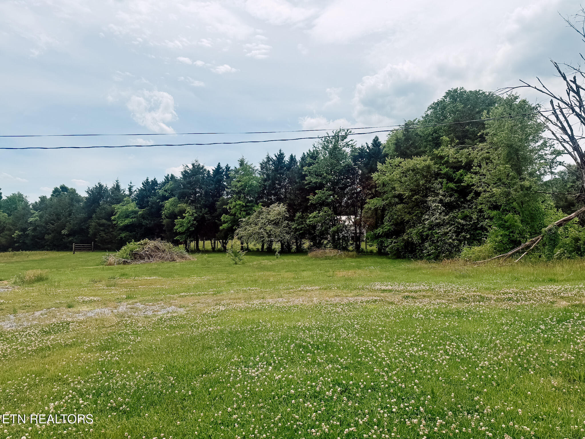 1597 Goodfield Road Decatur TN 37322