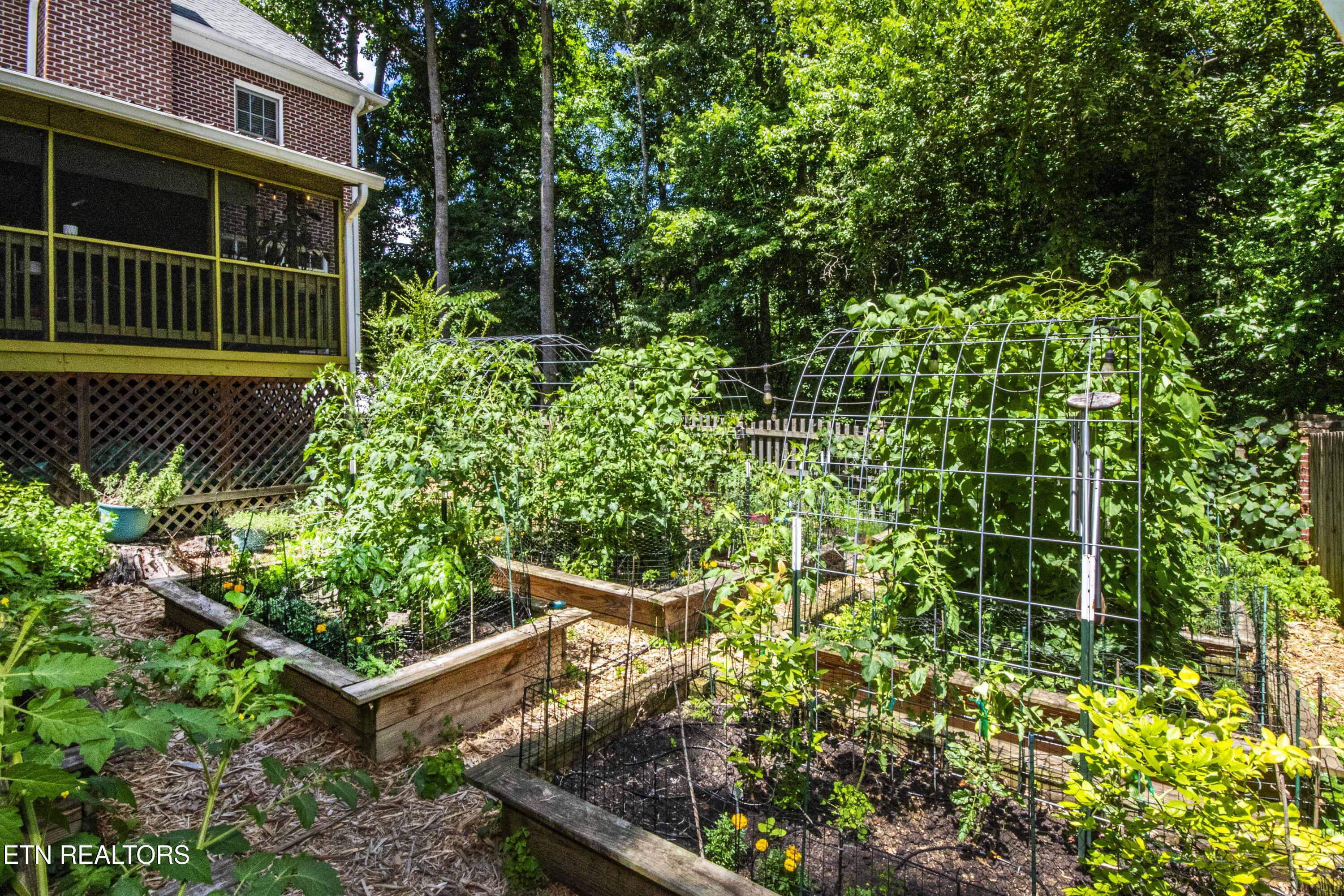 2742 Moon Shores Drive Knoxville TN 37938