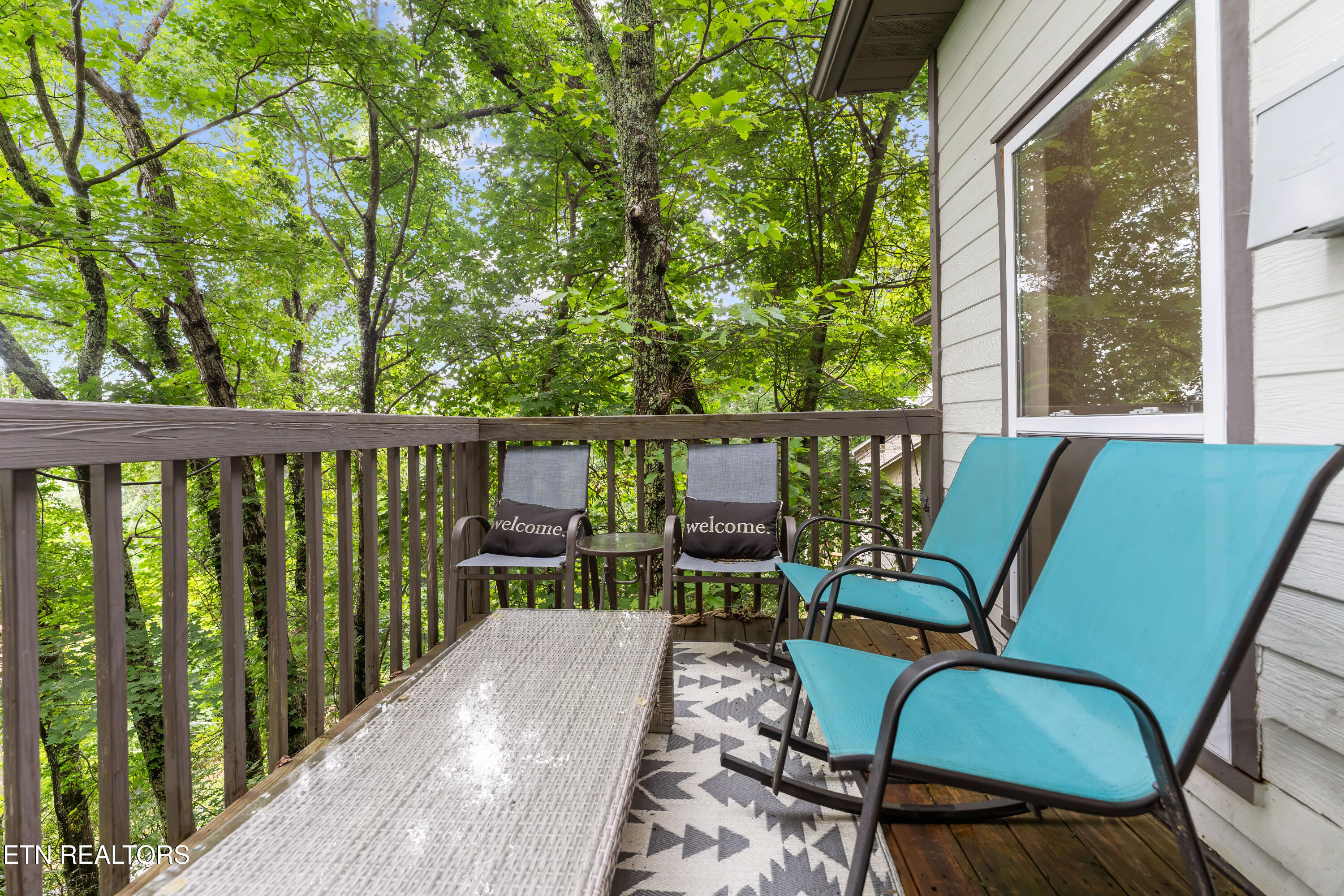 1523 Gillespie Way Gatlinburg TN 37738