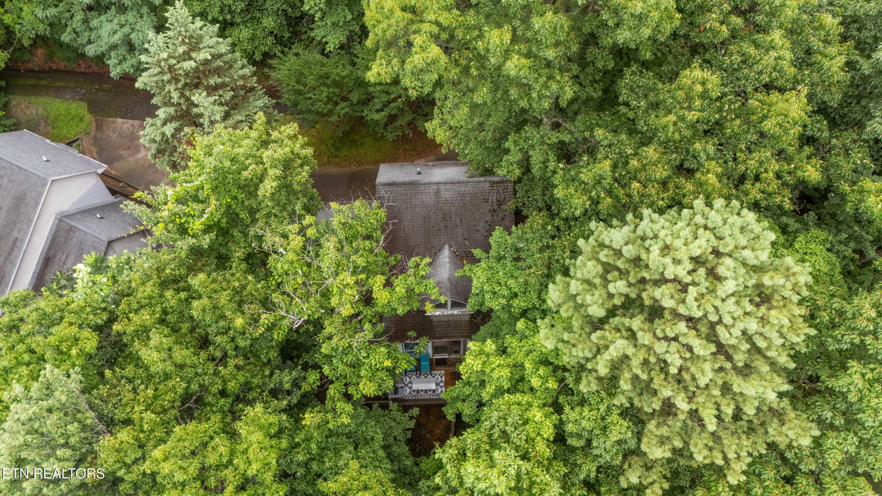 1523 Gillespie Way Gatlinburg TN 37738