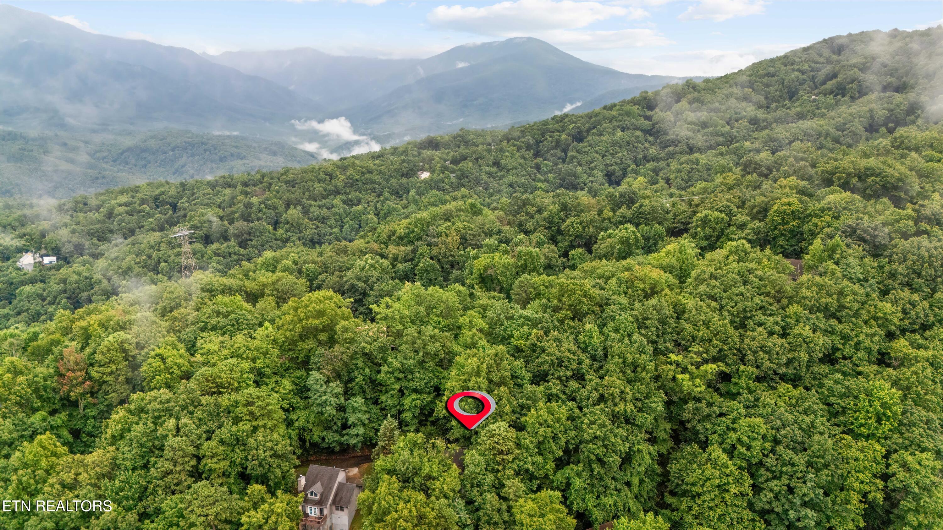 1523 Gillespie Way Gatlinburg TN 37738