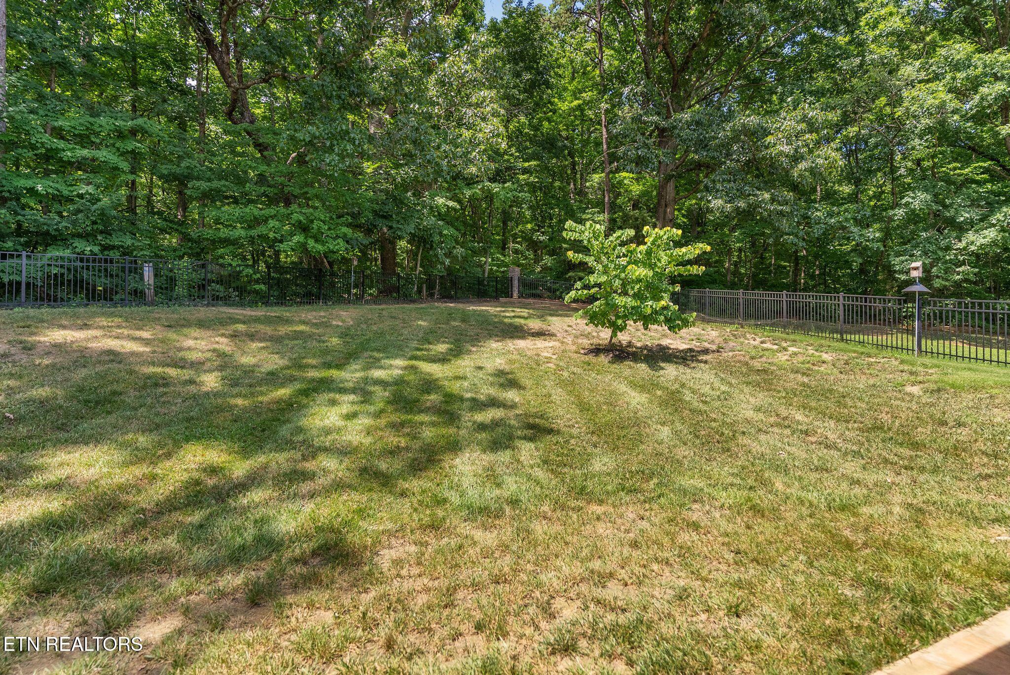 3045 Port Royal Lane Knoxville TN 37938