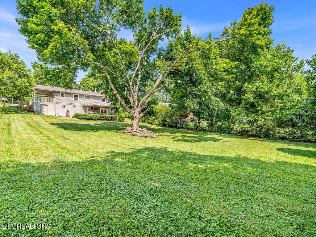1737 Ferd Hickey Road Knoxville TN 37909