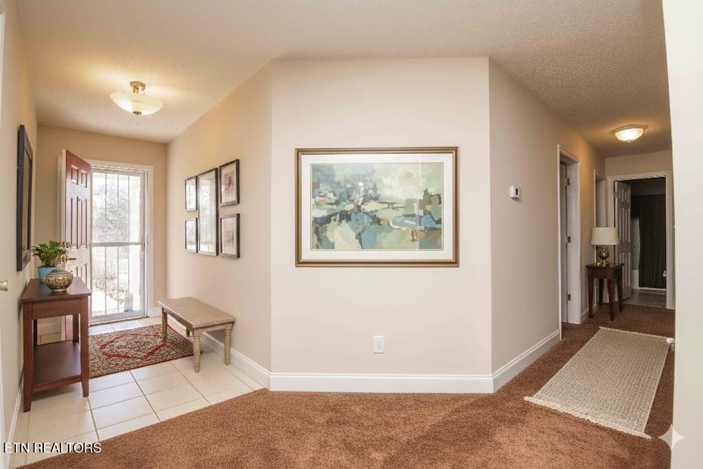 4723 Chesney Meadows Drive Strawberry Plains TN 37871