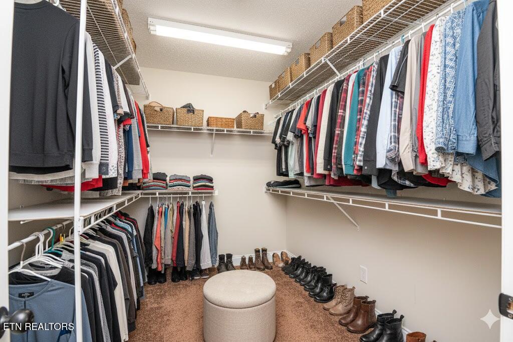 4723 Chesney Meadows Drive Strawberry Plains TN 37871