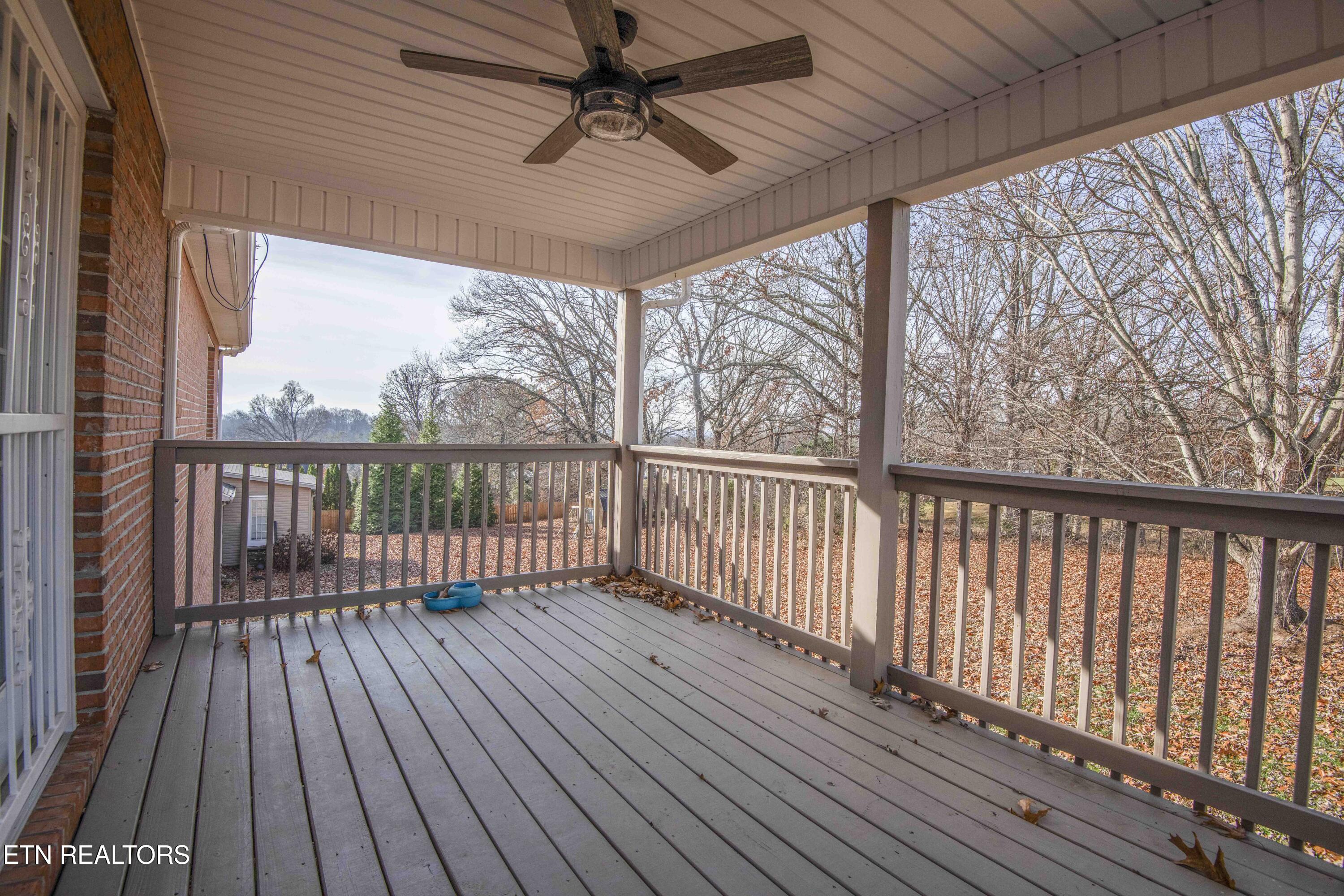 4723 Chesney Meadows Drive Strawberry Plains TN 37871