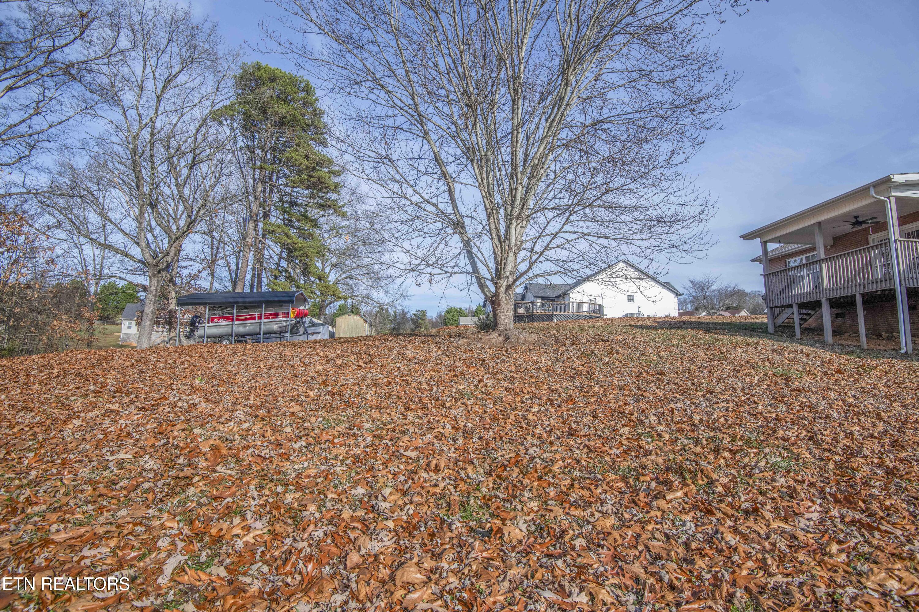 4723 Chesney Meadows Drive Strawberry Plains TN 37871