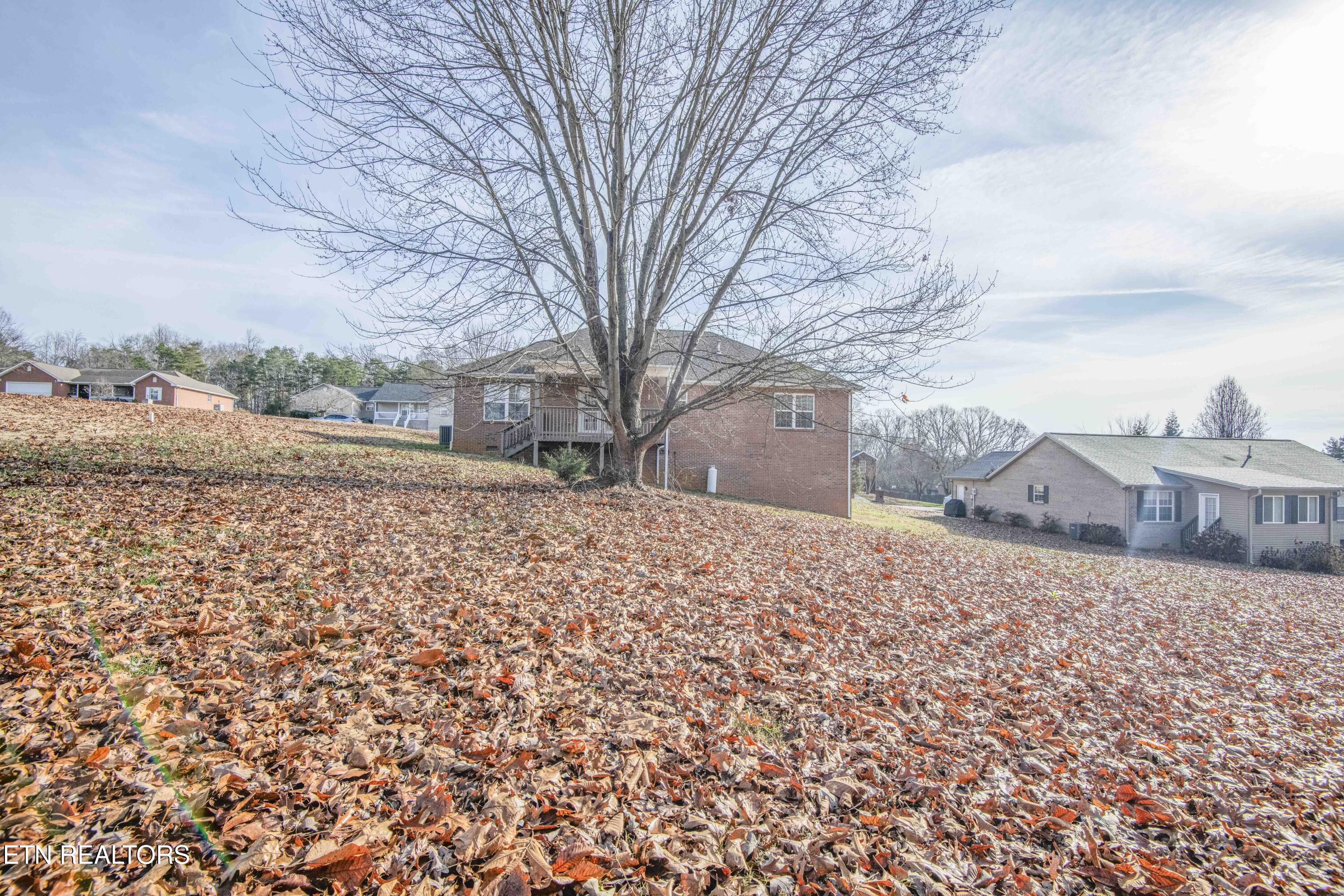 4723 Chesney Meadows Drive Strawberry Plains TN 37871