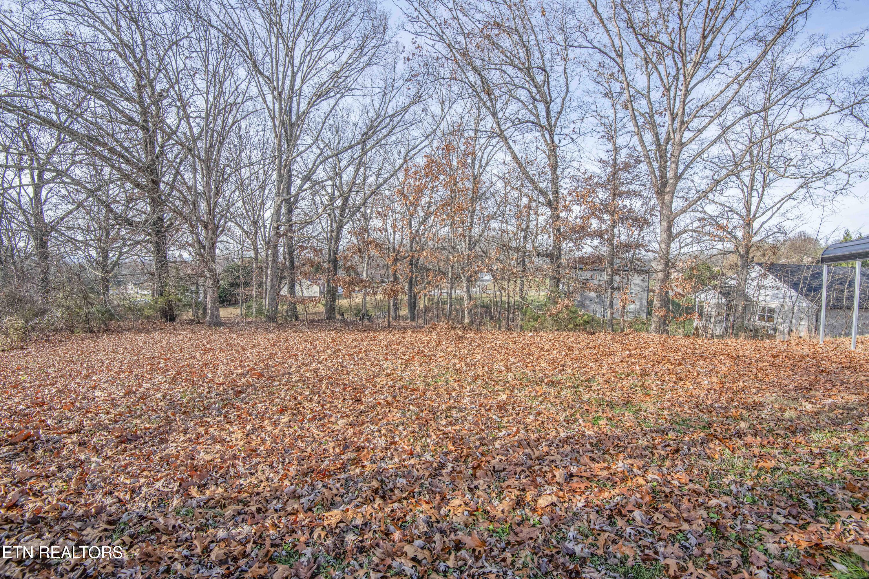 4723 Chesney Meadows Drive Strawberry Plains TN 37871