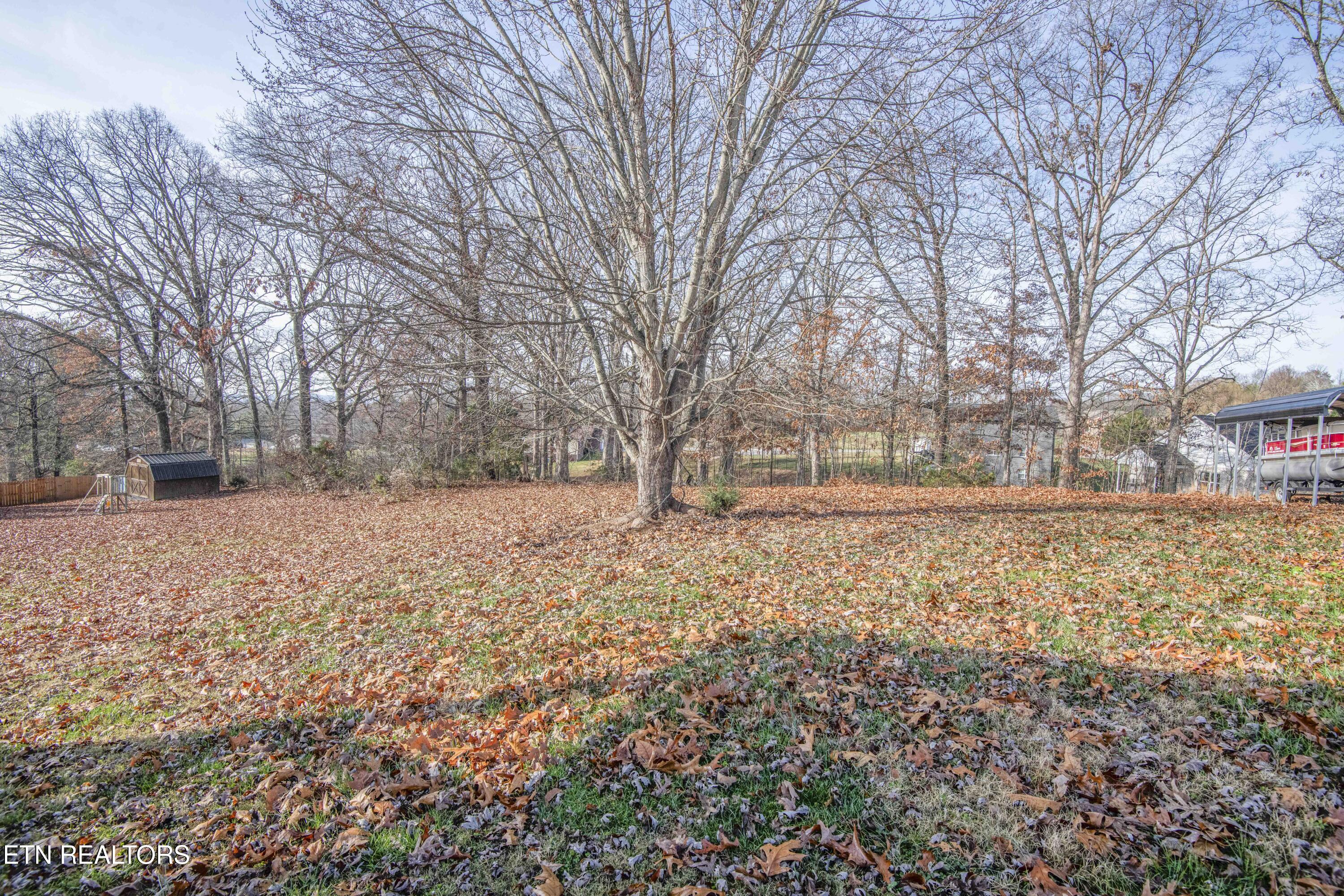 4723 Chesney Meadows Drive Strawberry Plains TN 37871