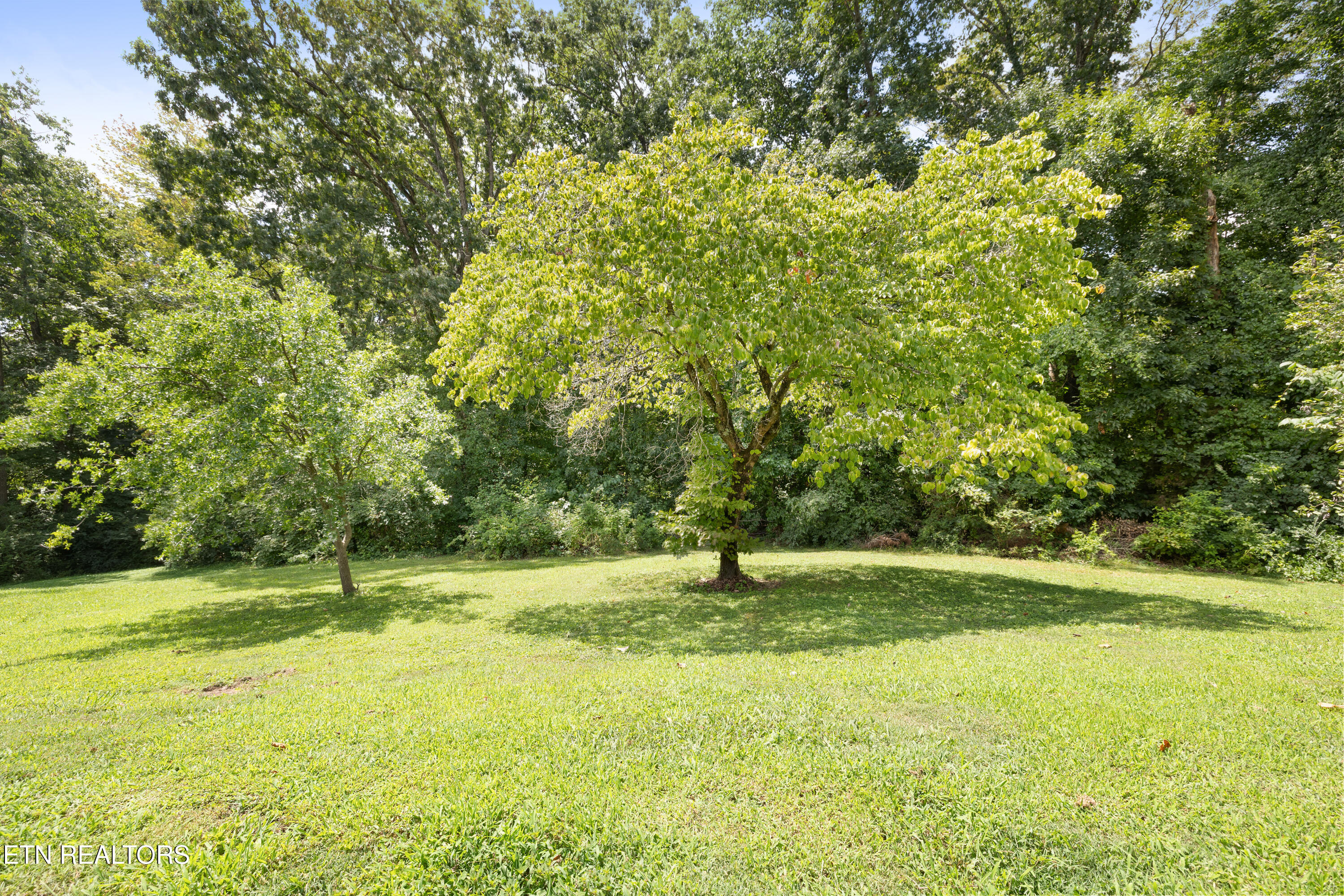 6007 Bridge Garden Road Knoxville TN 37912