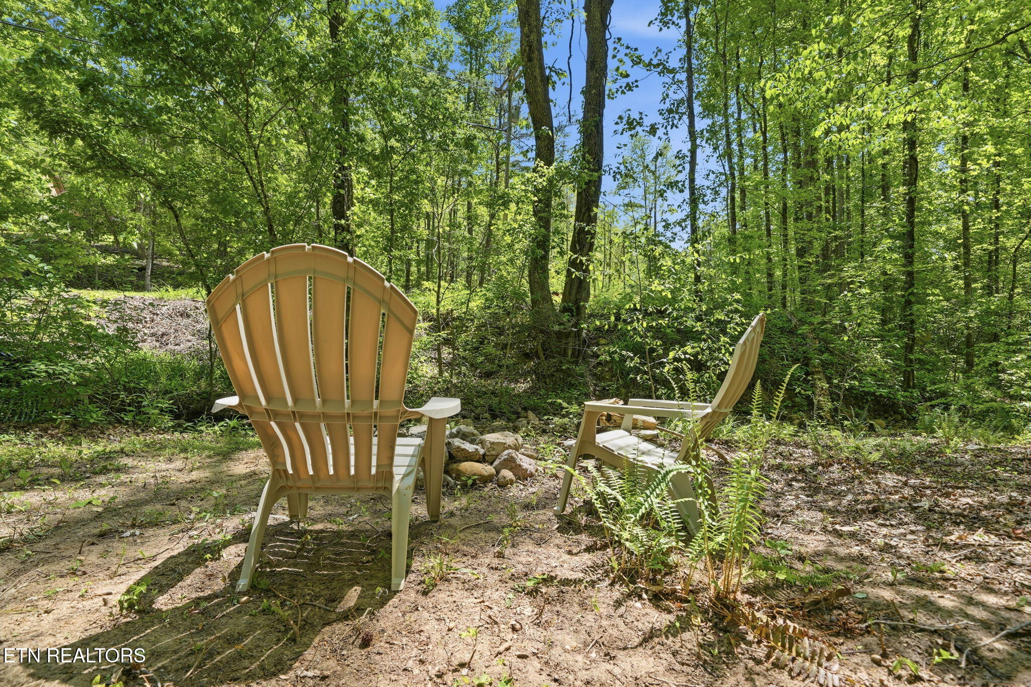 1429 Alpine Drive Sevierville TN 37876