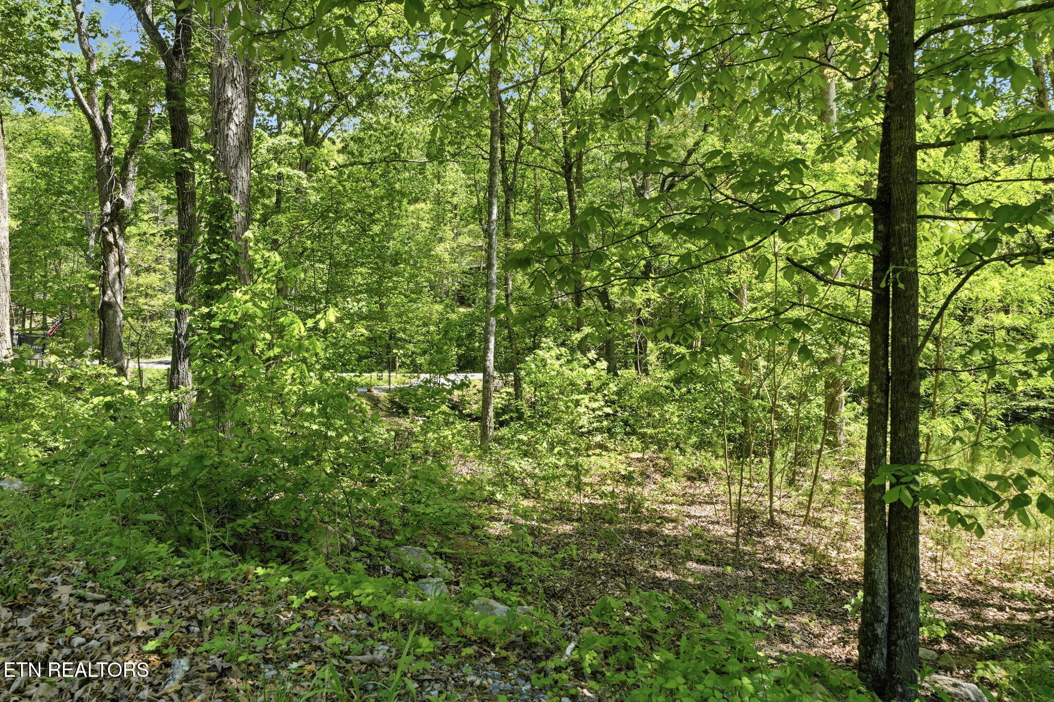1429 Alpine Drive Sevierville TN 37876