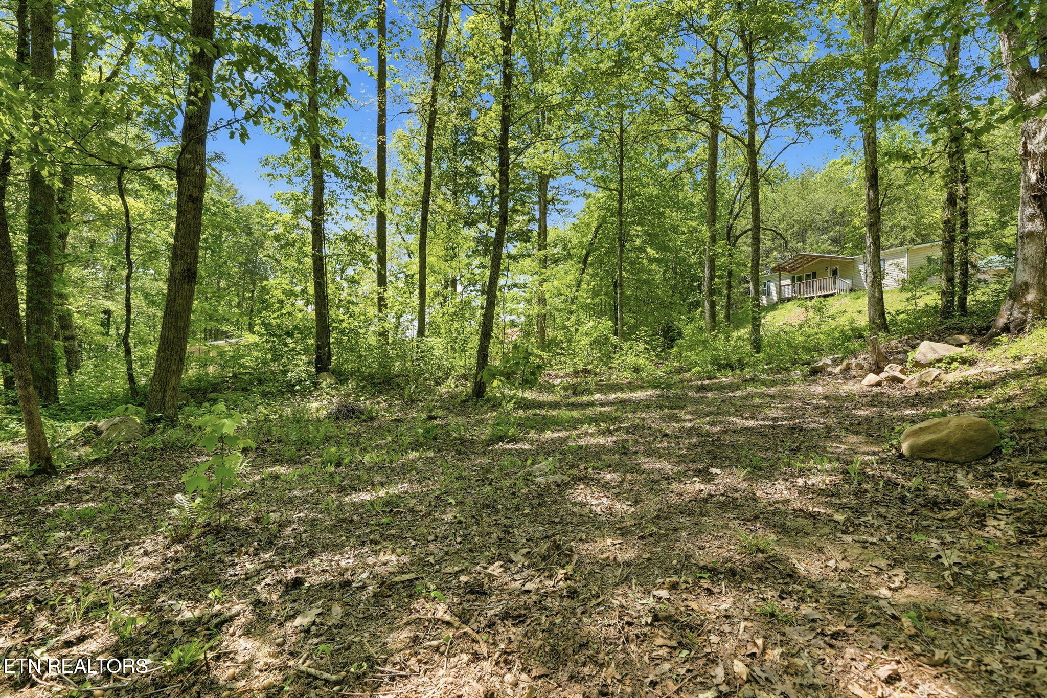 1429 Alpine Drive Sevierville TN 37876
