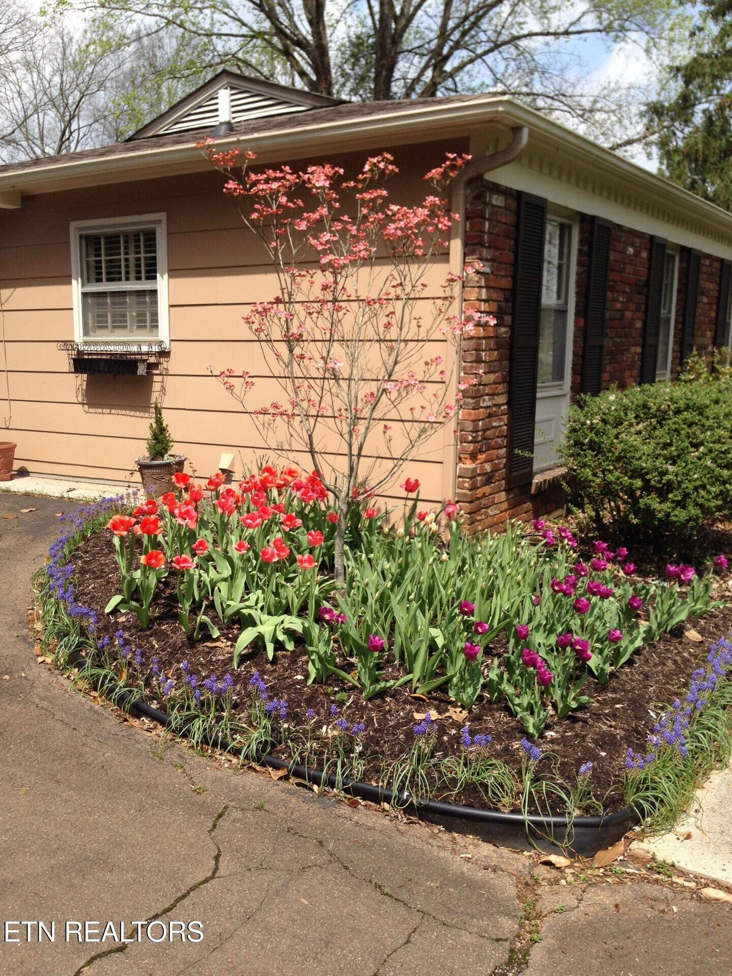 405 Kendall Road Knoxville TN 37919