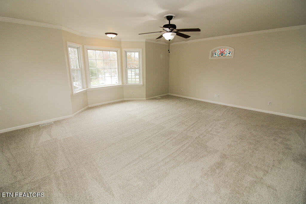 406 Ellen Street Rockwood TN 37854