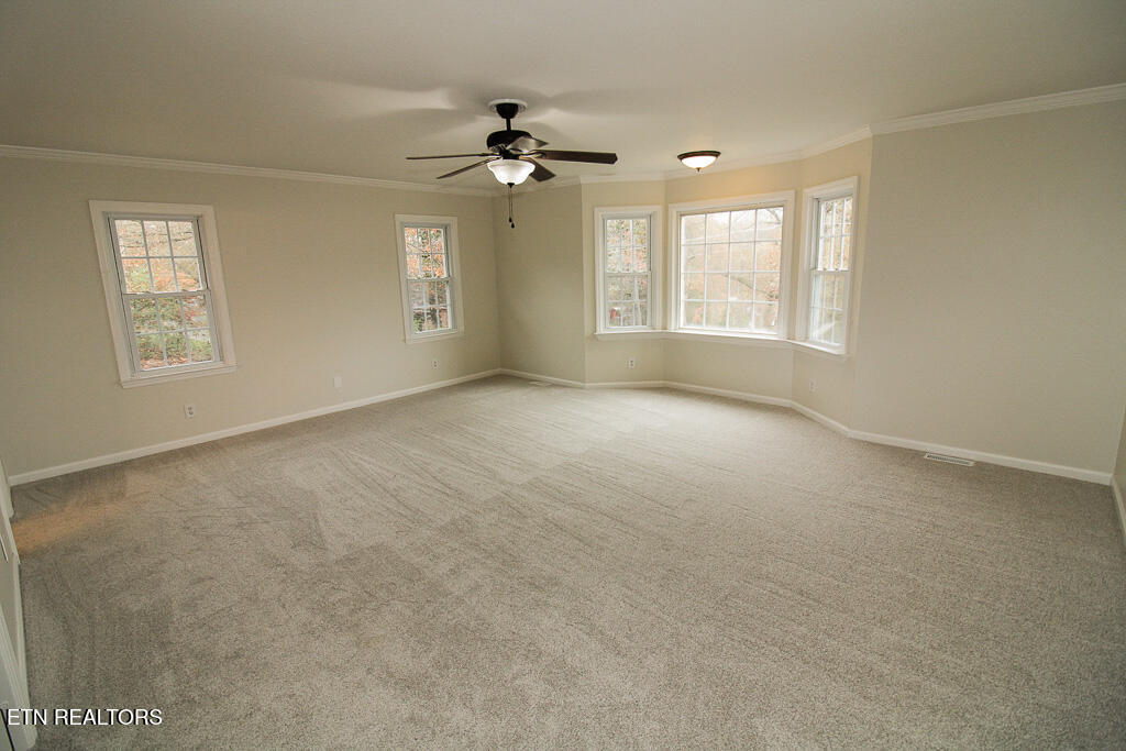 406 Ellen Street Rockwood TN 37854