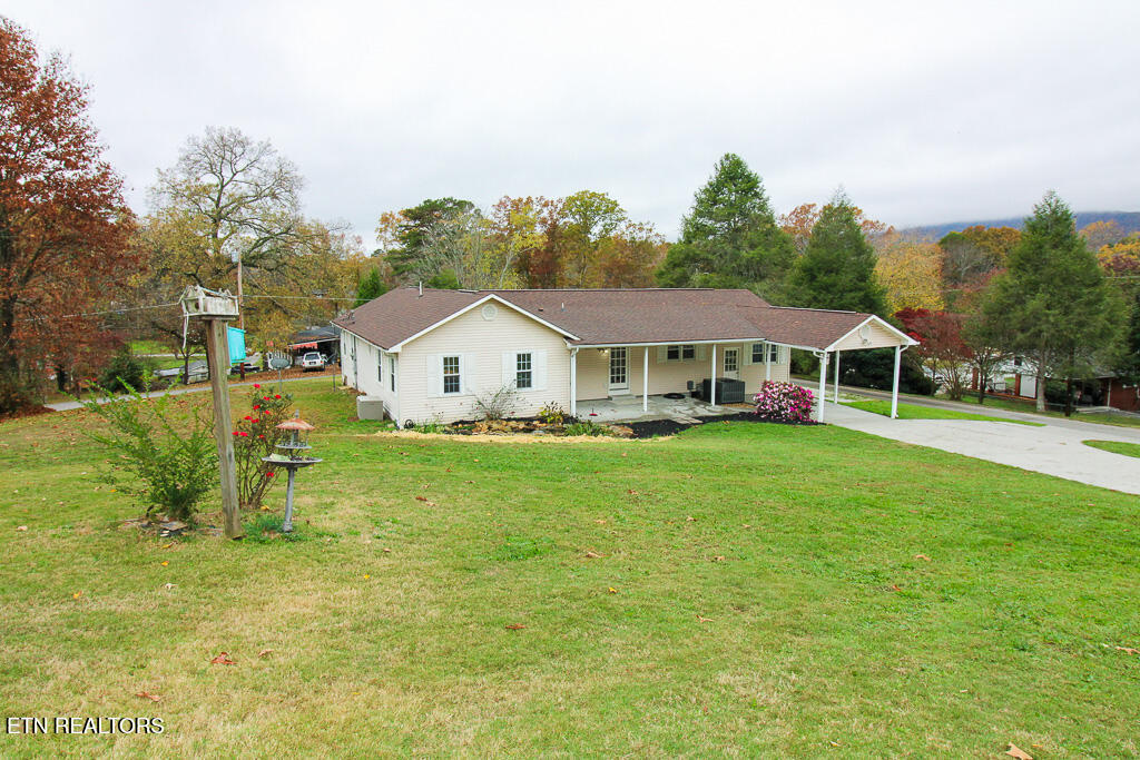 406 Ellen Street Rockwood TN 37854