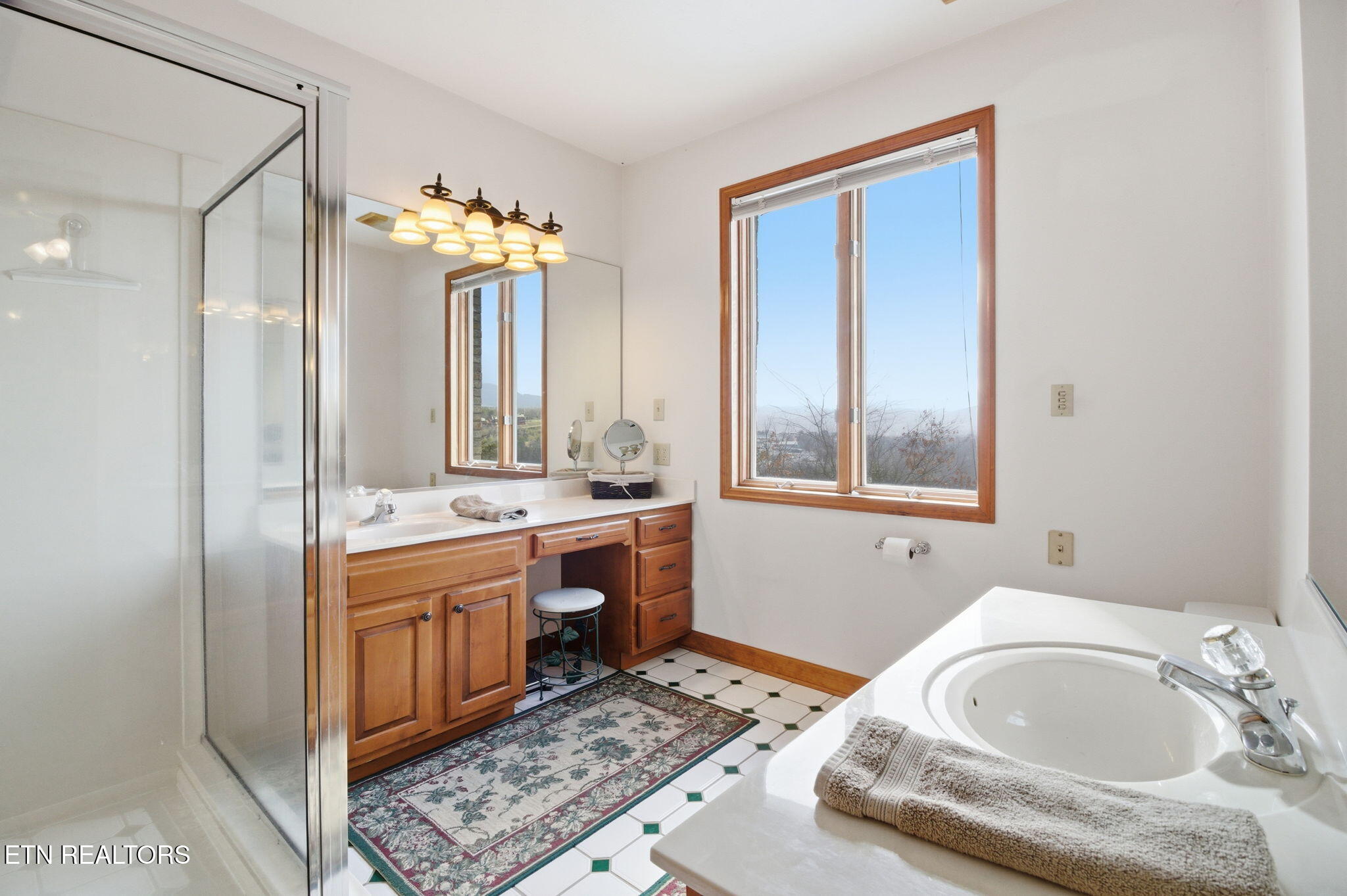 310 Teague Lane Sevierville TN 37862