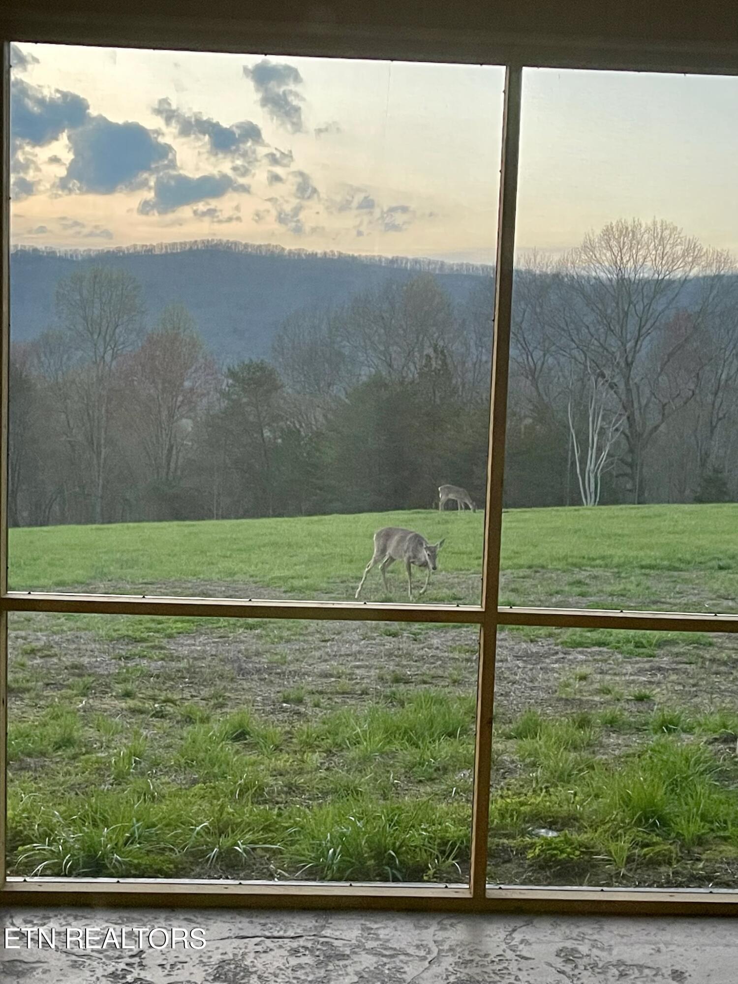 260 Waldo Road Rockwood TN 37854