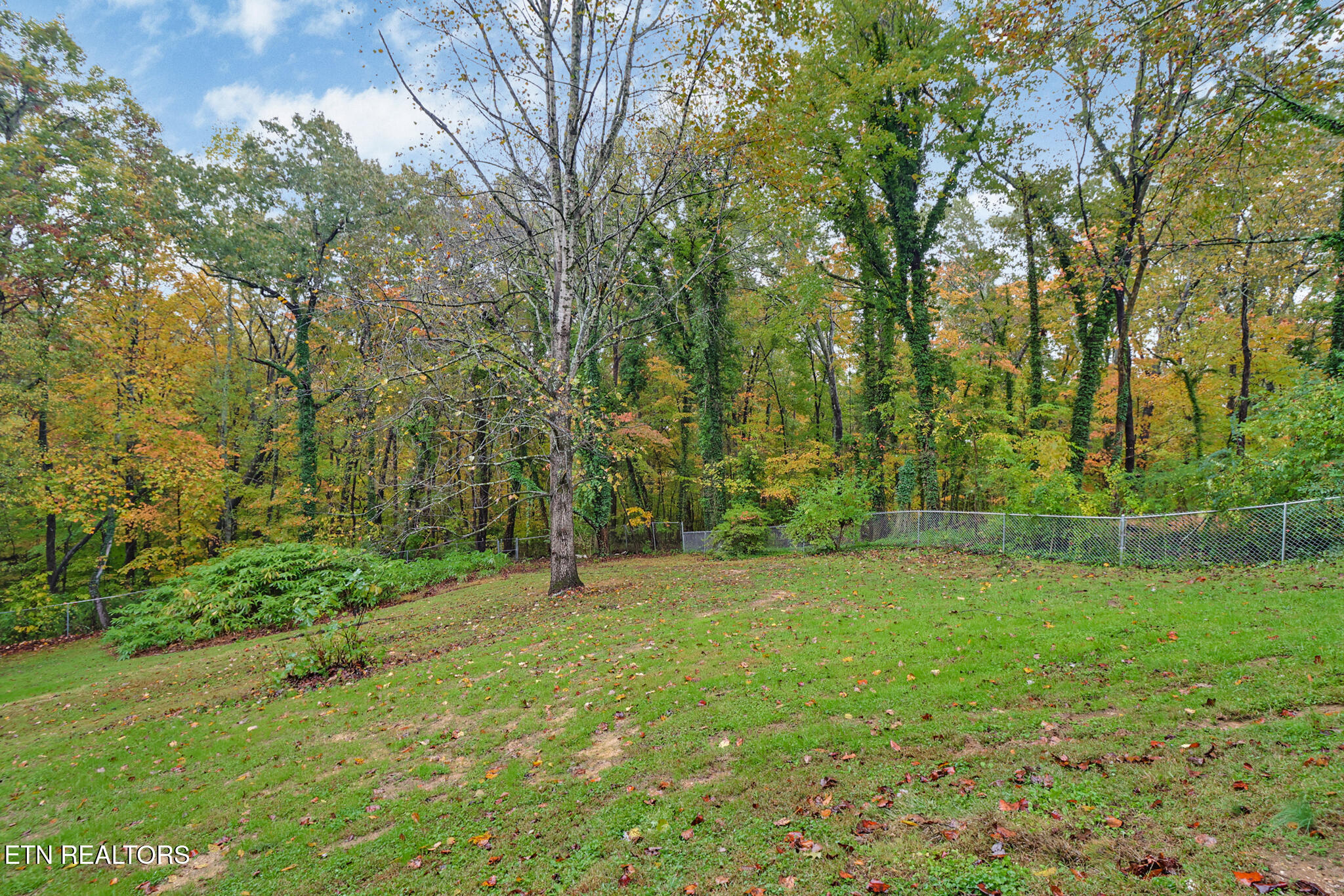 109 Wakefield Road Oak Ridge TN 37830
