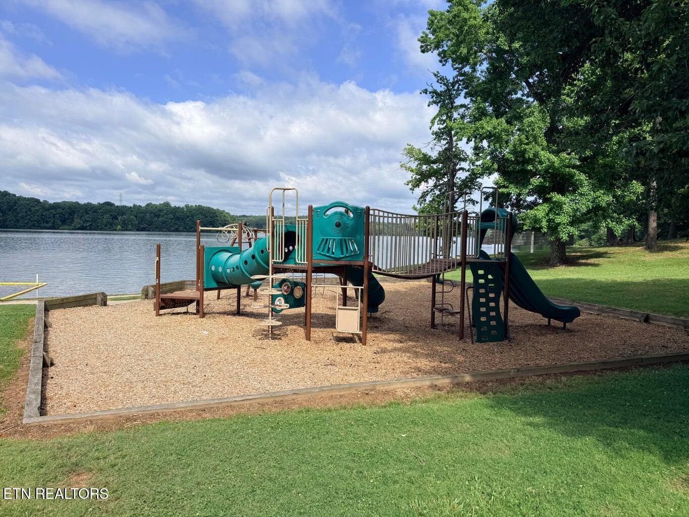 894 Crosby Lane Spring City TN 37381