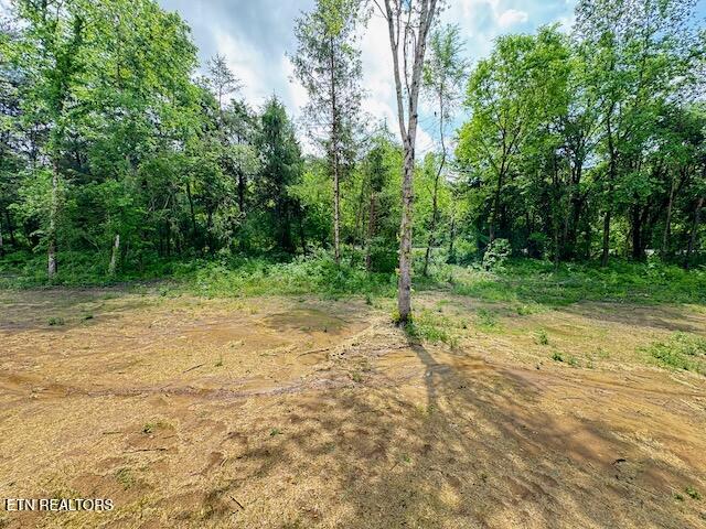 736 Old Cemetery Road Madisonville TN 37354