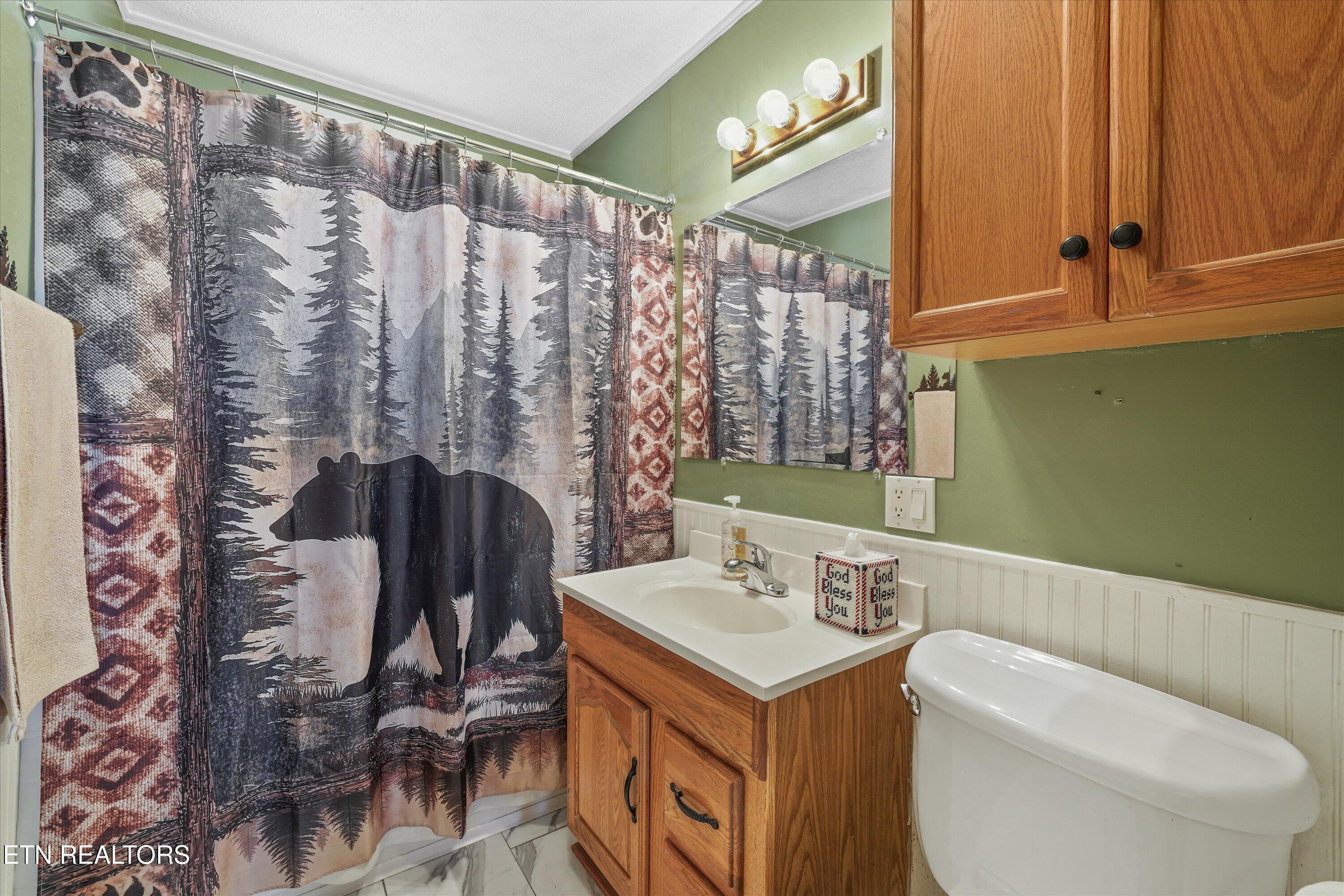 1009 Old Laurel Lane Sevierville TN 37876