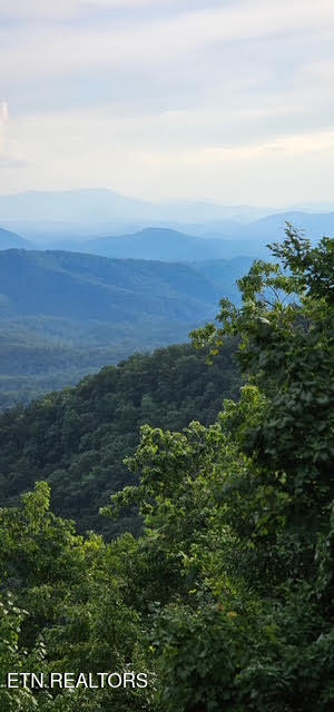 1009 Old Laurel Lane Sevierville TN 37876
