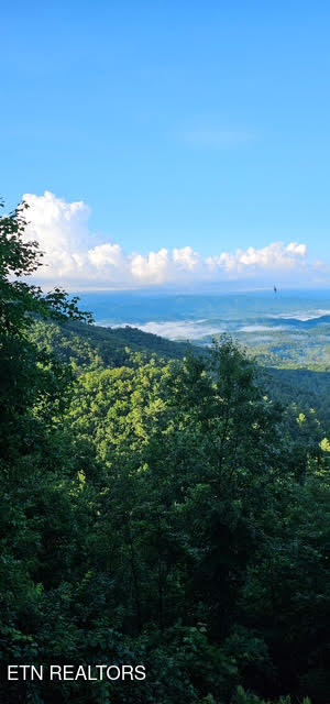 1009 Old Laurel Lane Sevierville TN 37876