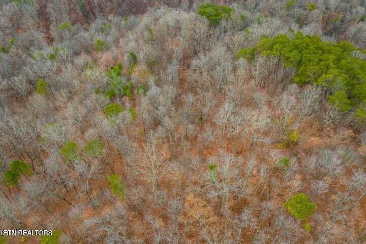 364 Jasmine Road Newport TN 37821